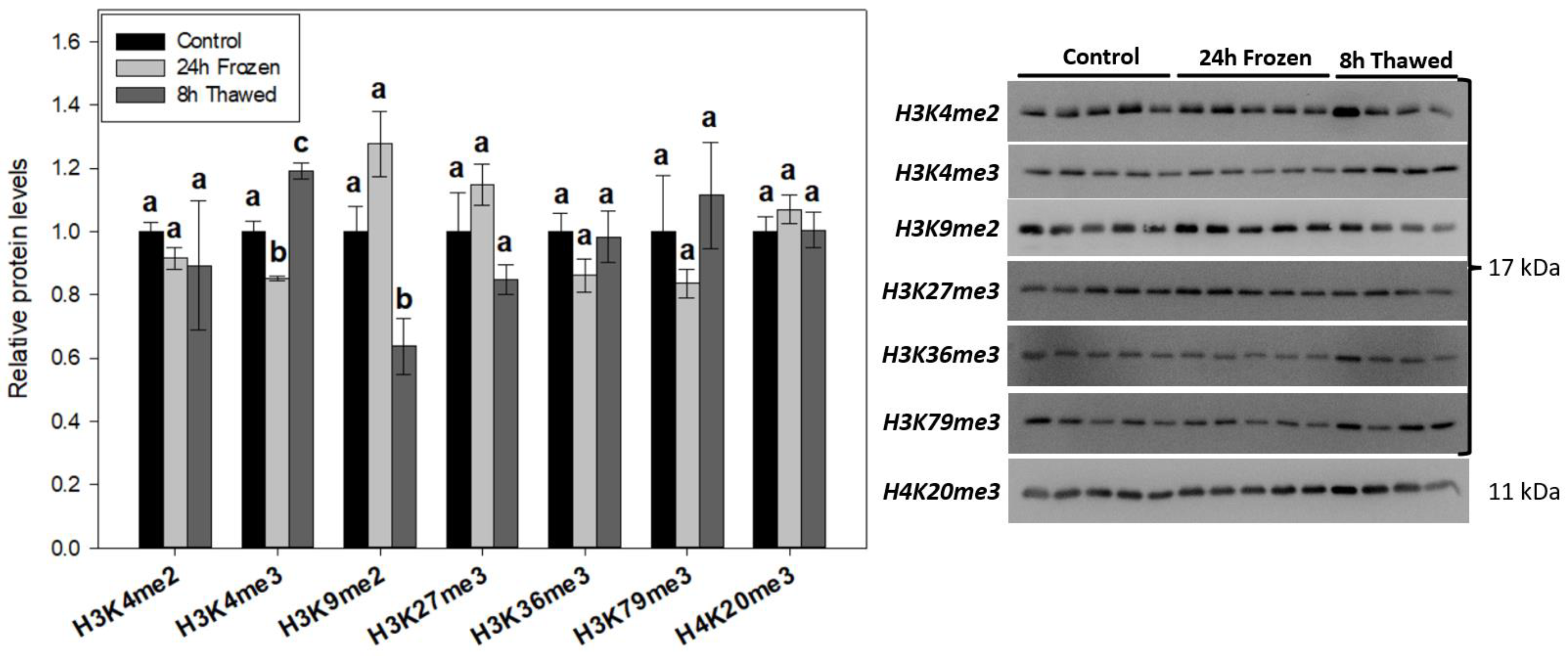 Biomolecules 14 00839 g003