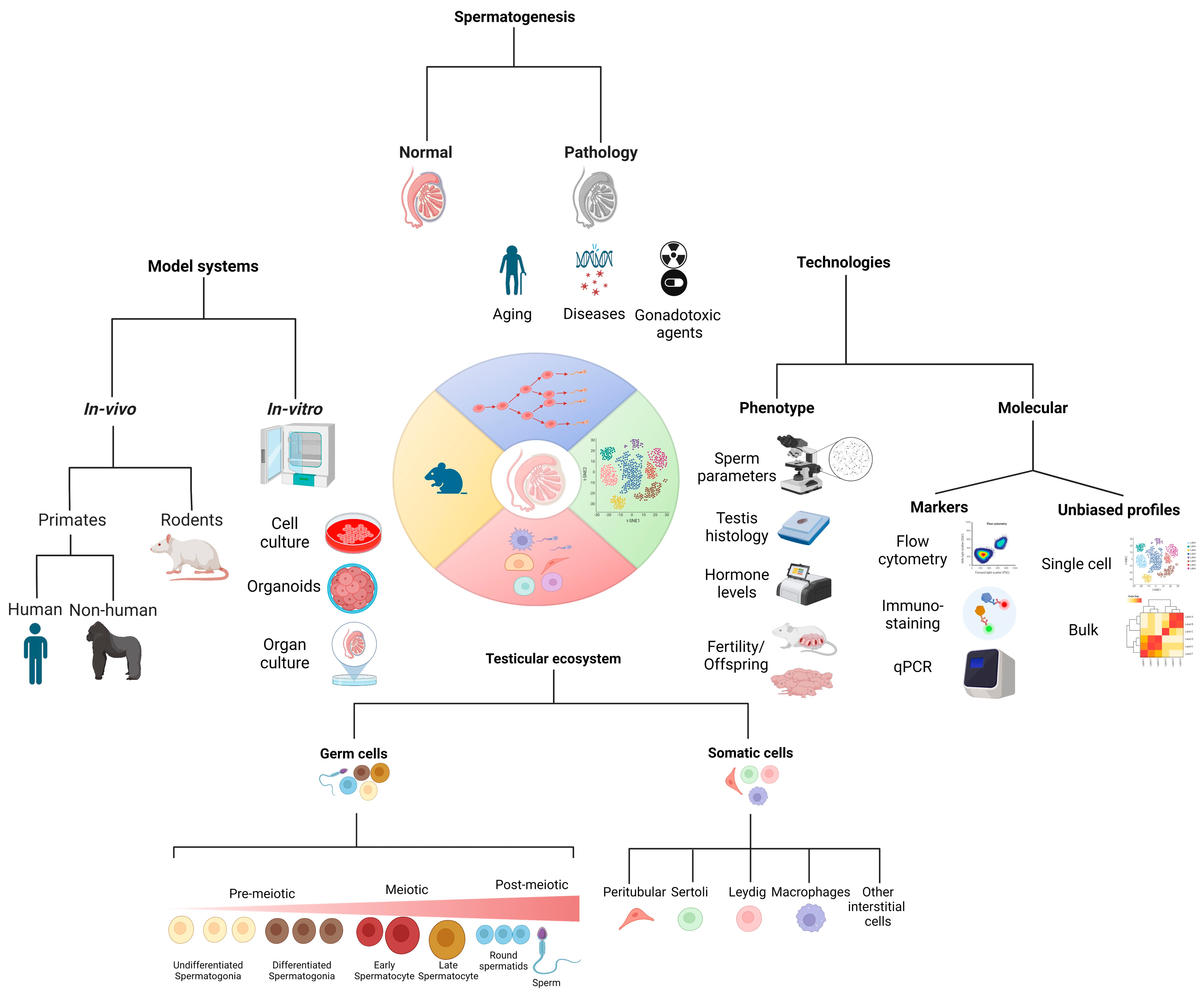 Biomolecules 14 00840 g001