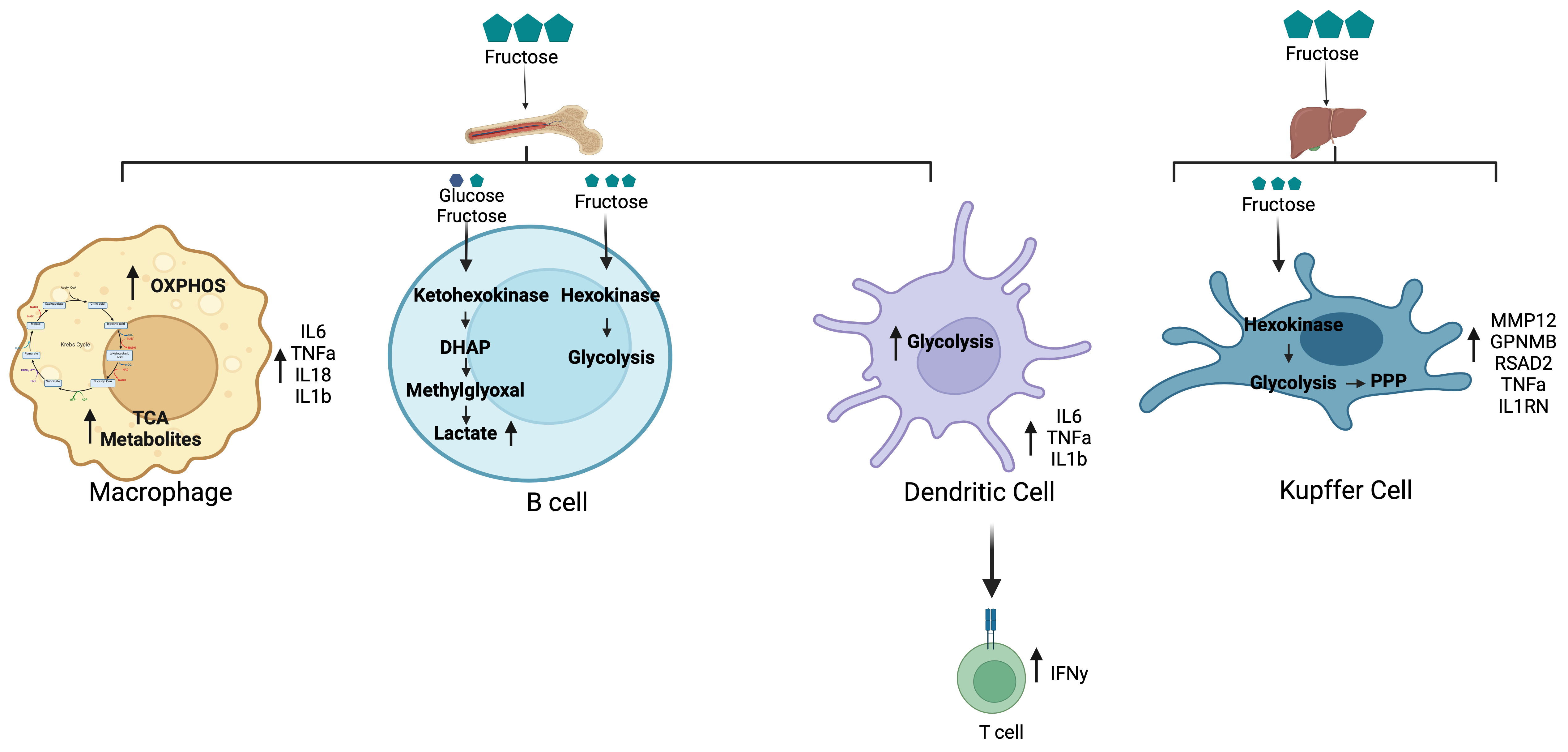 Biomolecules 14 00845 g002