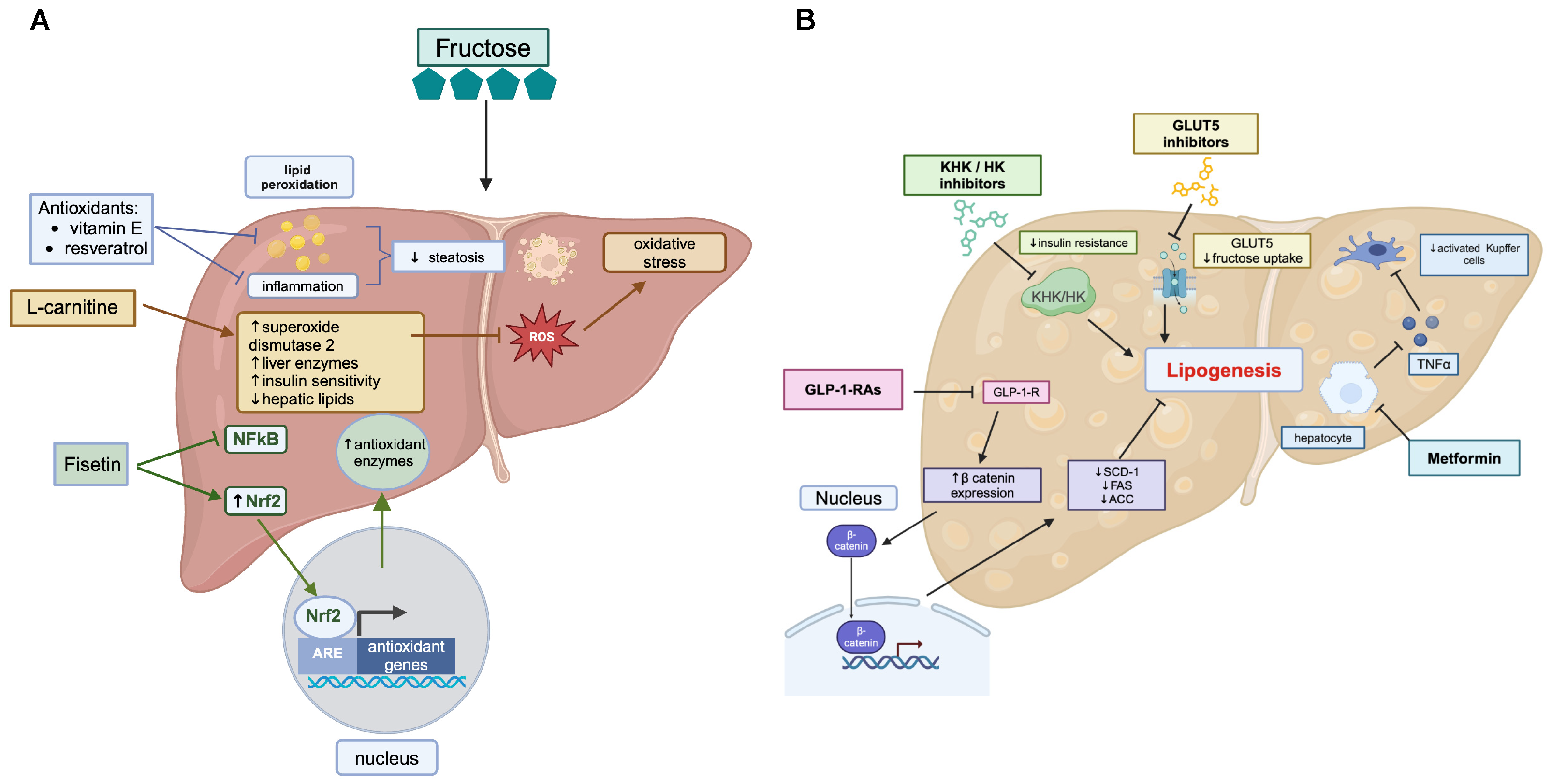 Biomolecules 14 00845 g003