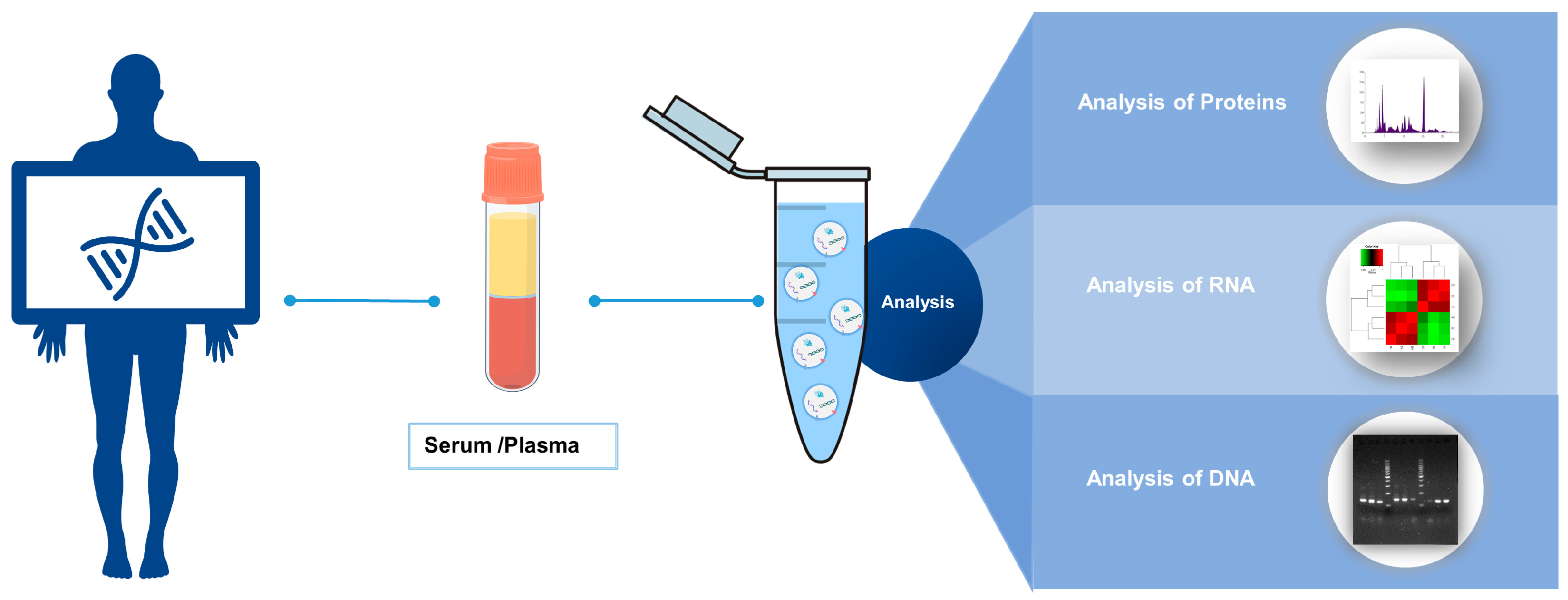 Biomolecules 14 00847 g001