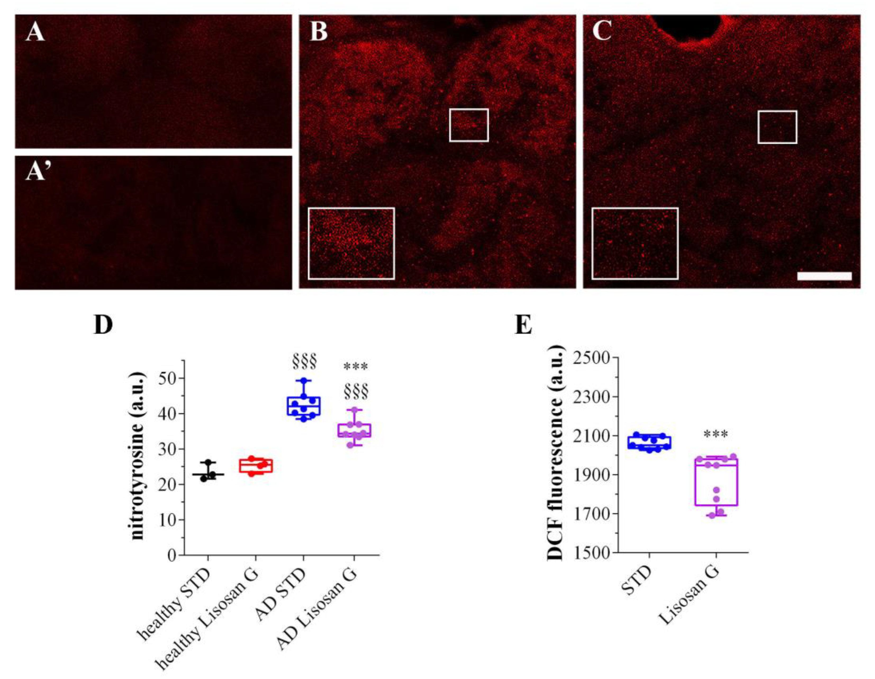 Biomolecules 14 00855 g004