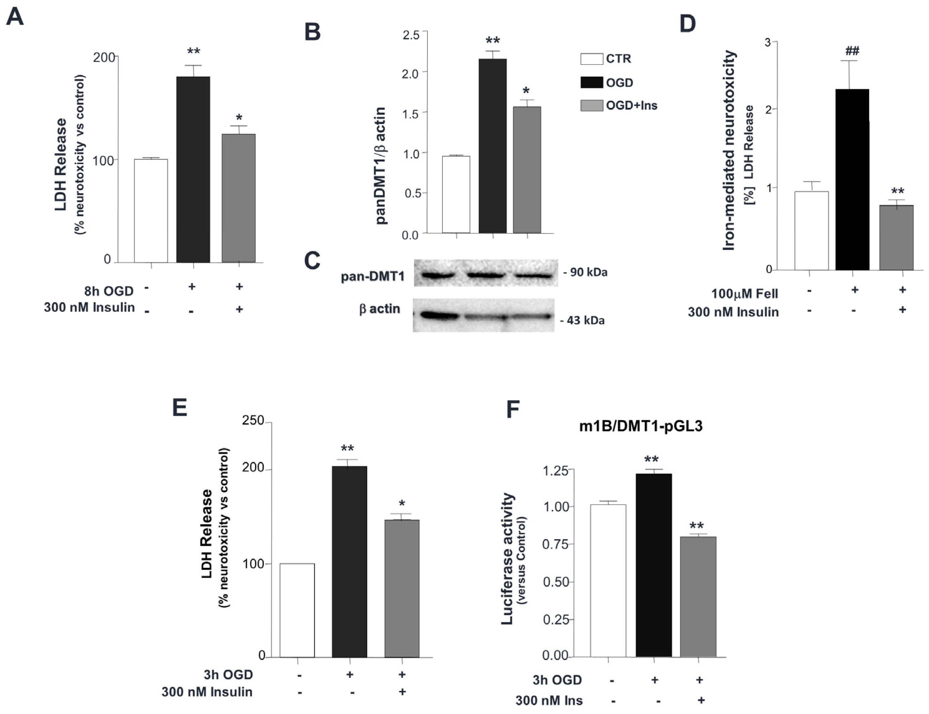 Biomolecules 14 00856 g001