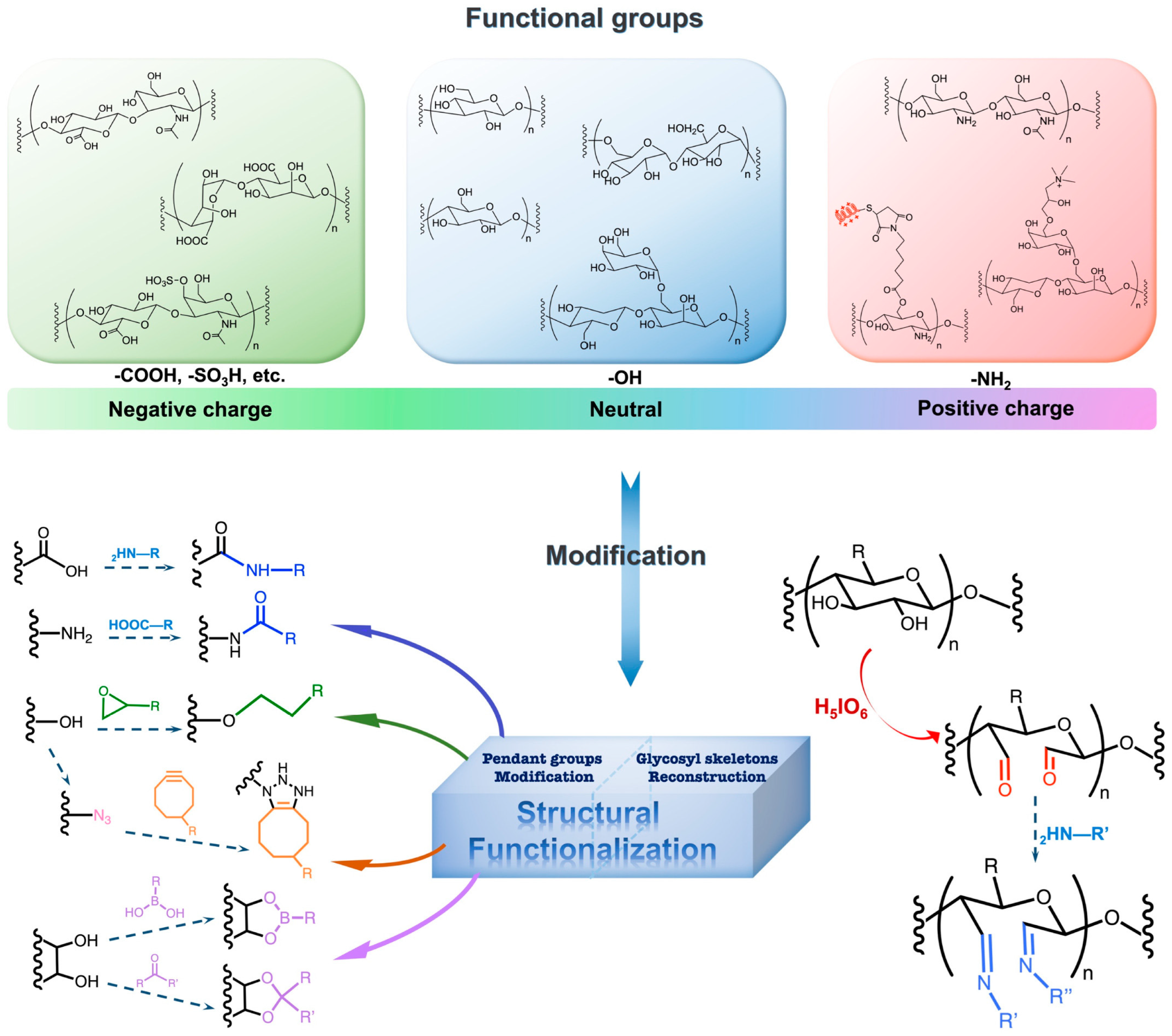 Biomolecules 14 00858 g003 Biomolecules 14 00858 g003
