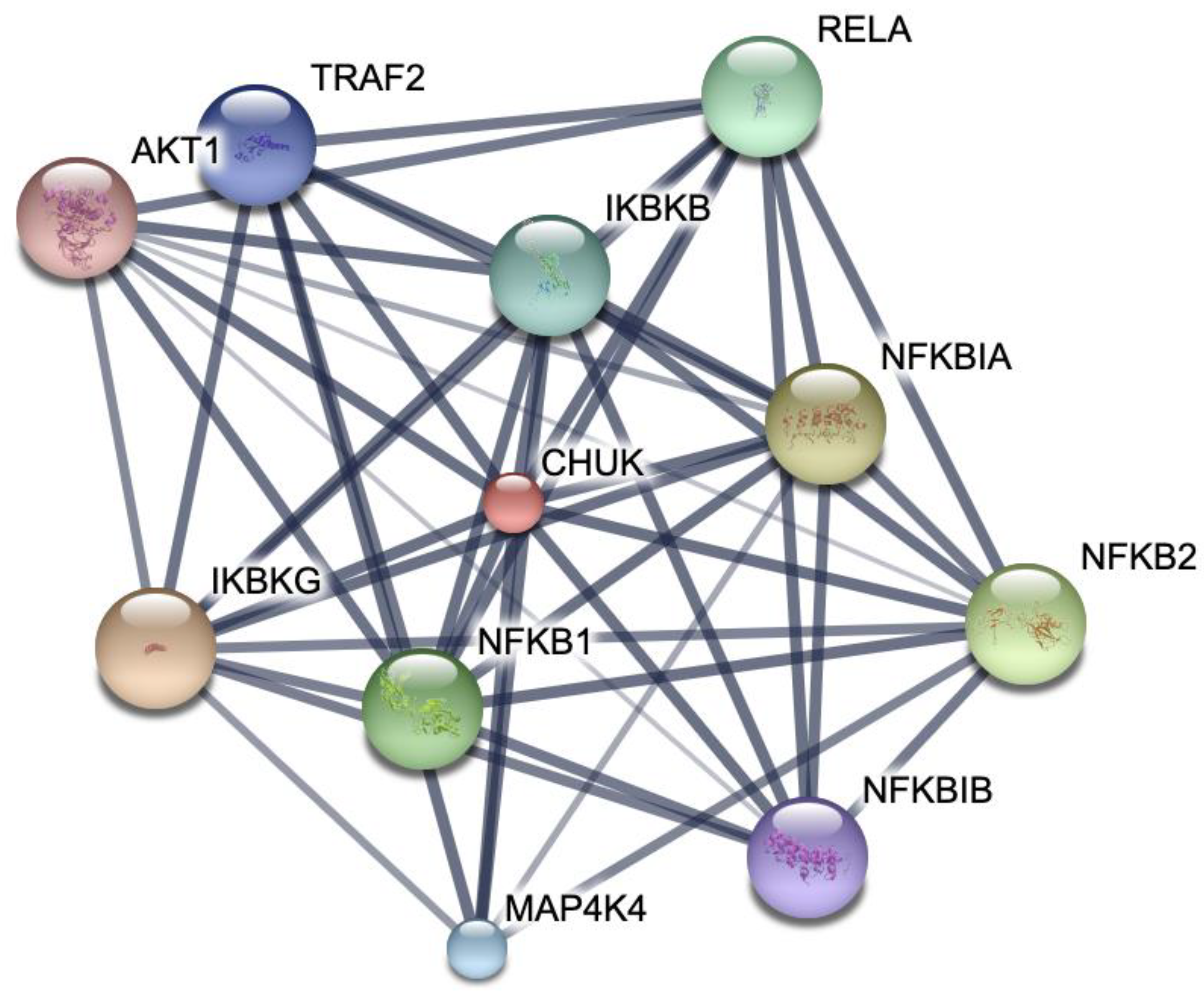 Biomolecules 14 00860 g005
