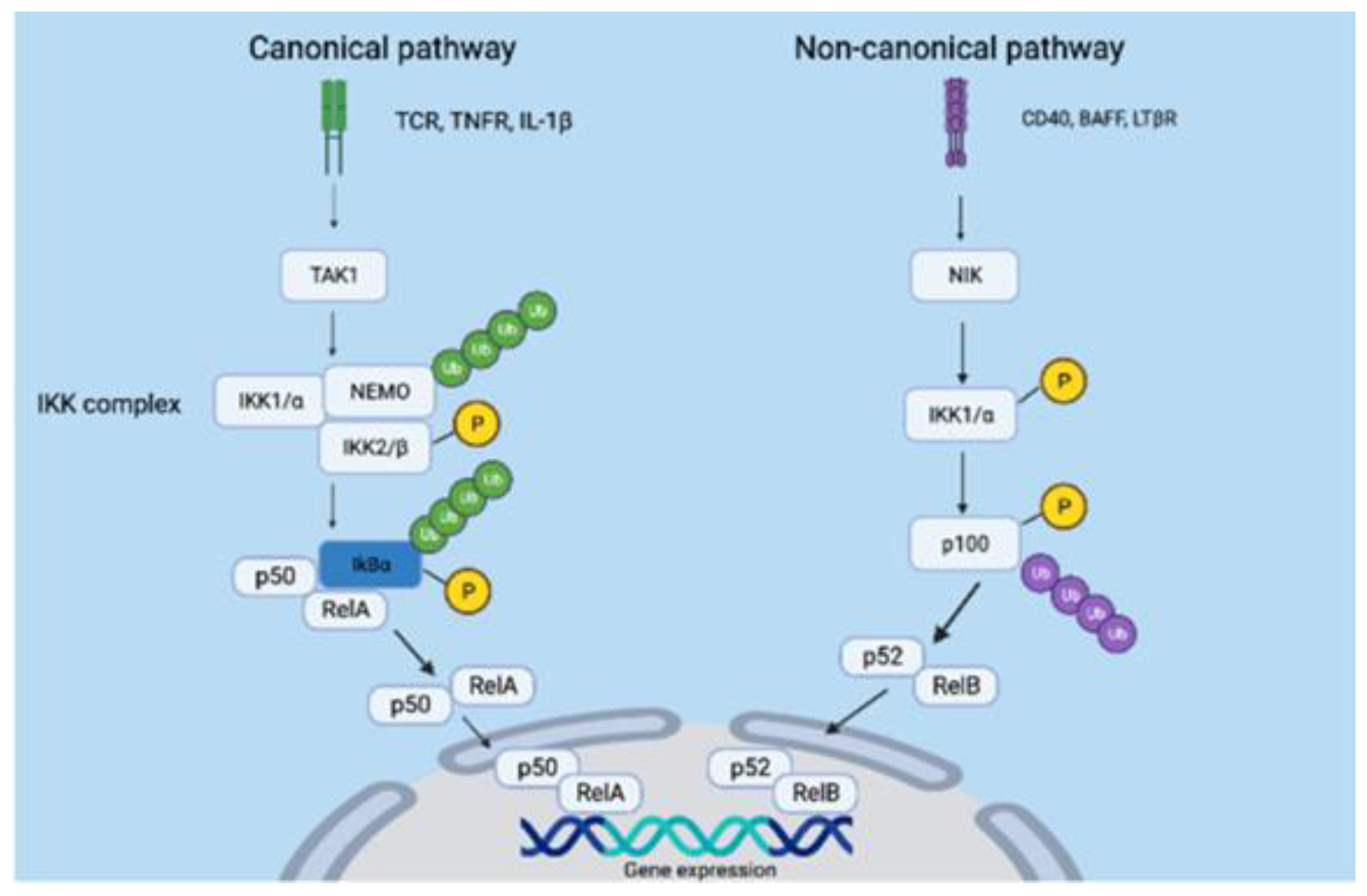 Biomolecules 14 00860 g006