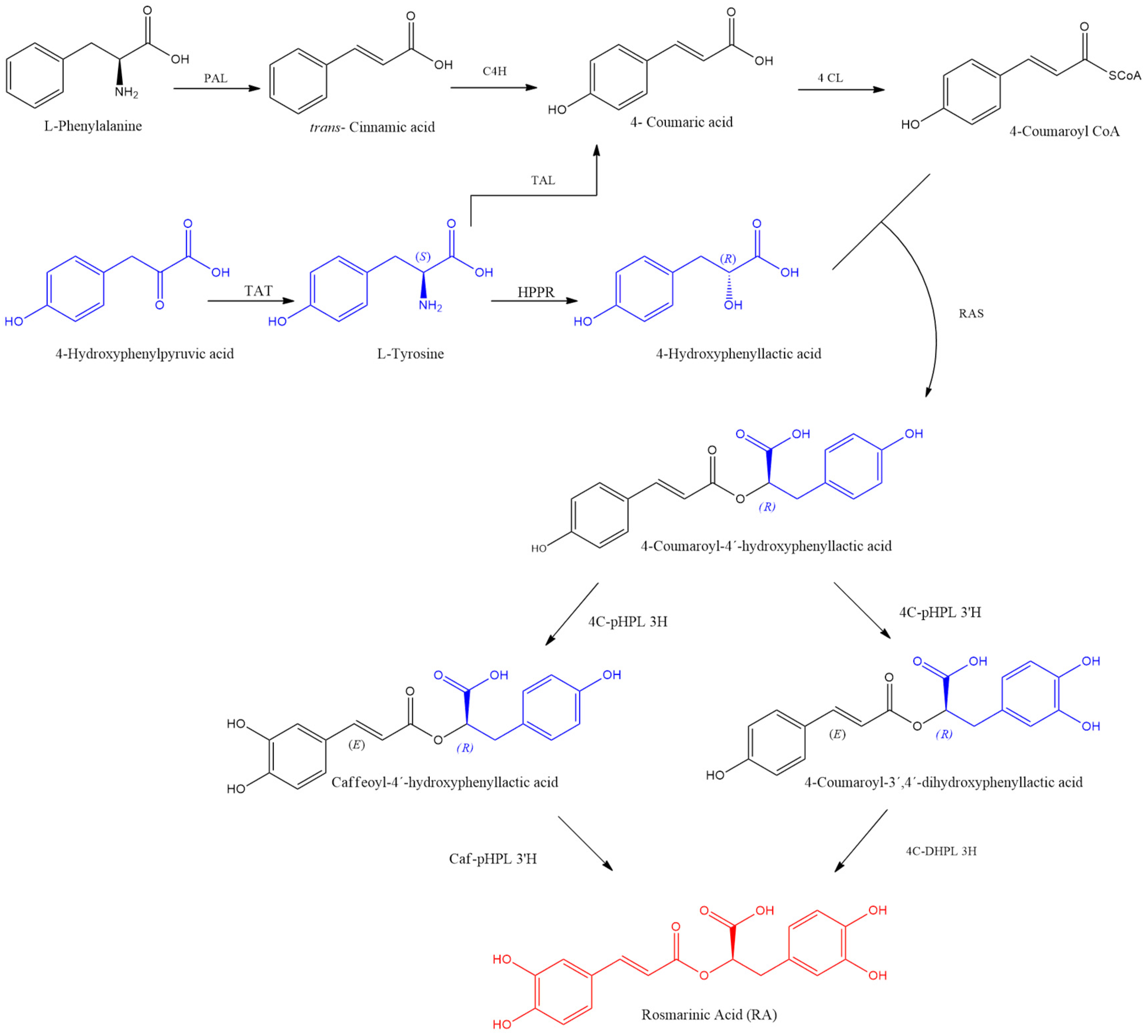 Biomolecules 14 00867 g003