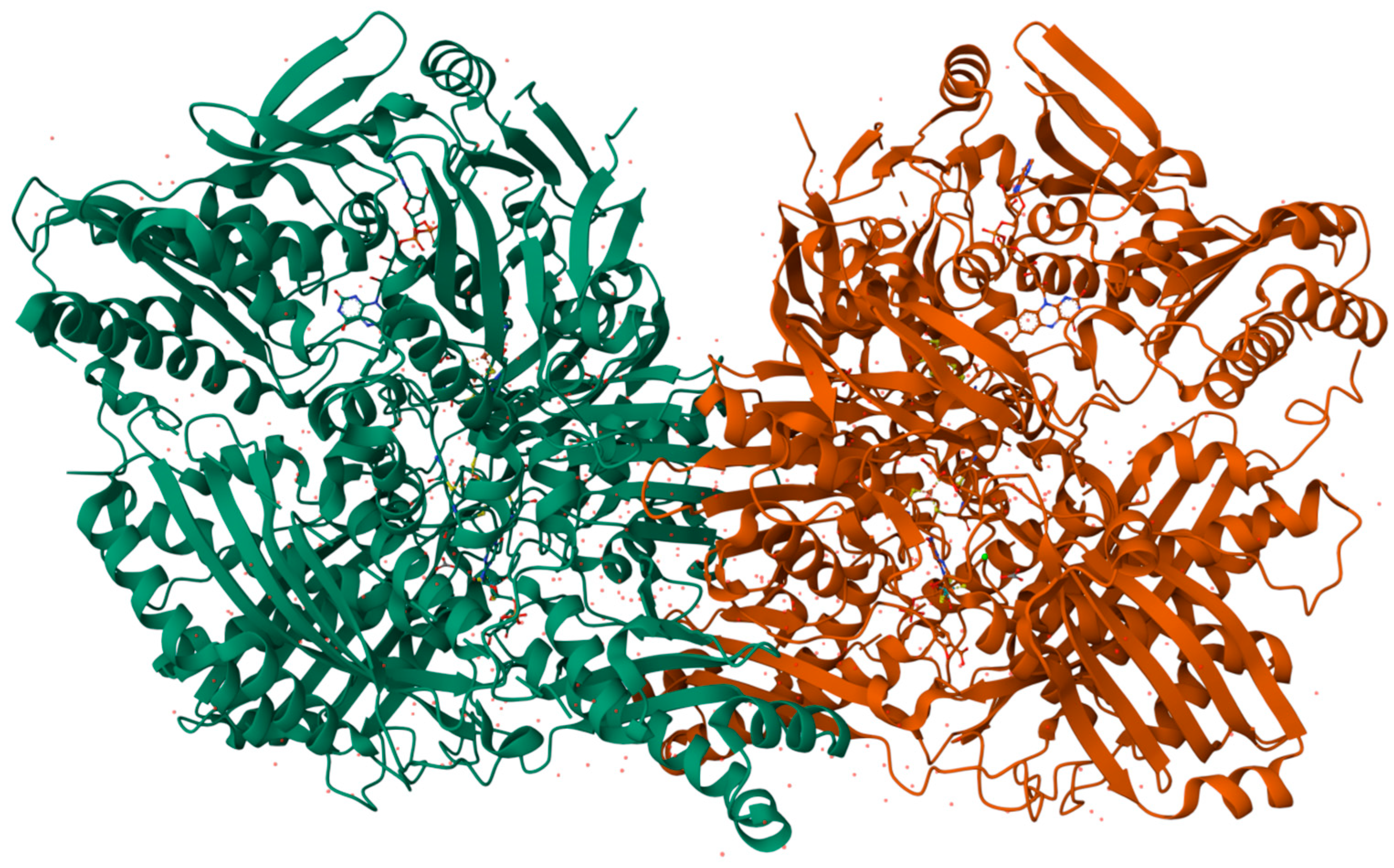 Biomolecules 14 00869 g002