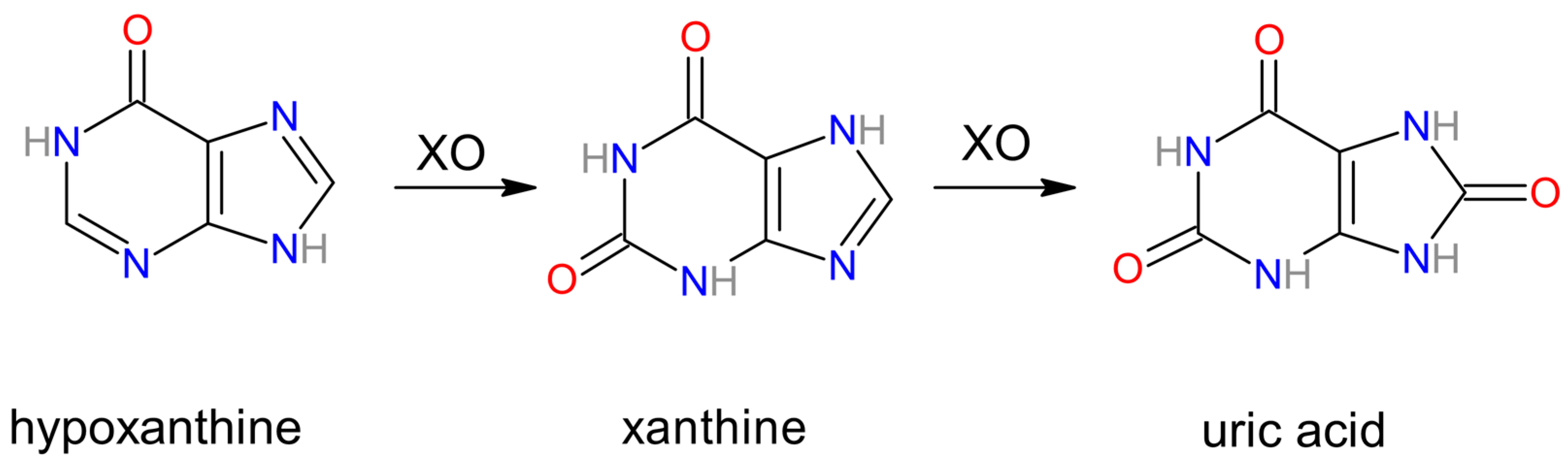 Biomolecules 14 00869 g003