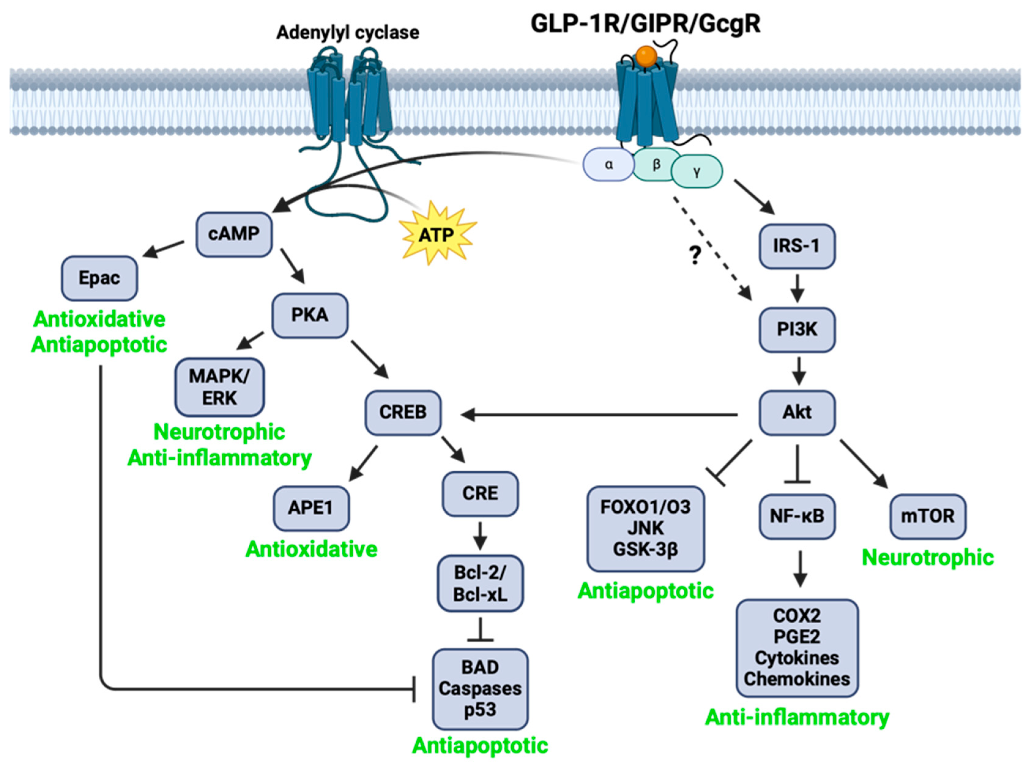 Biomolecules 14 00872 g006