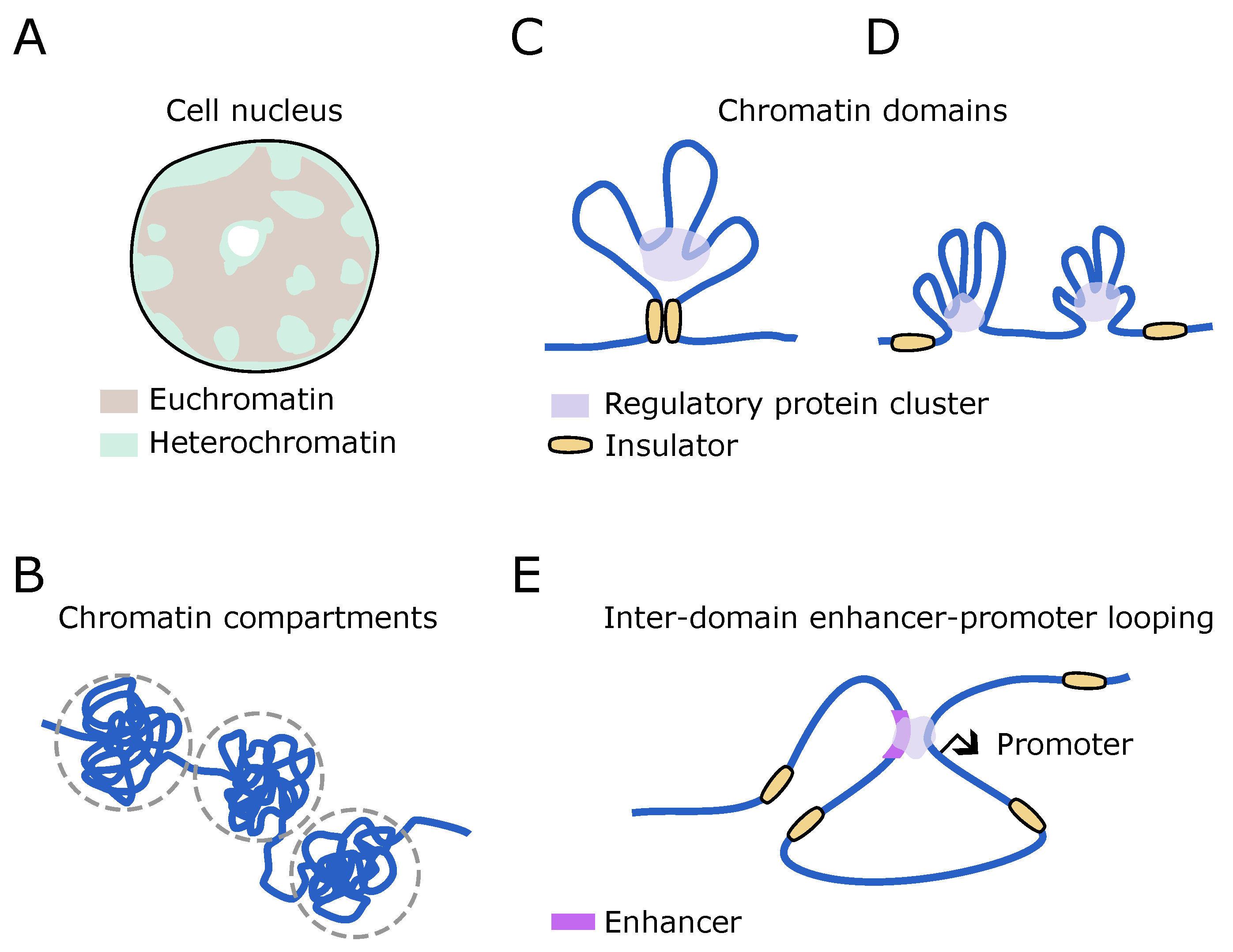Biomolecules 14 00875 g003
