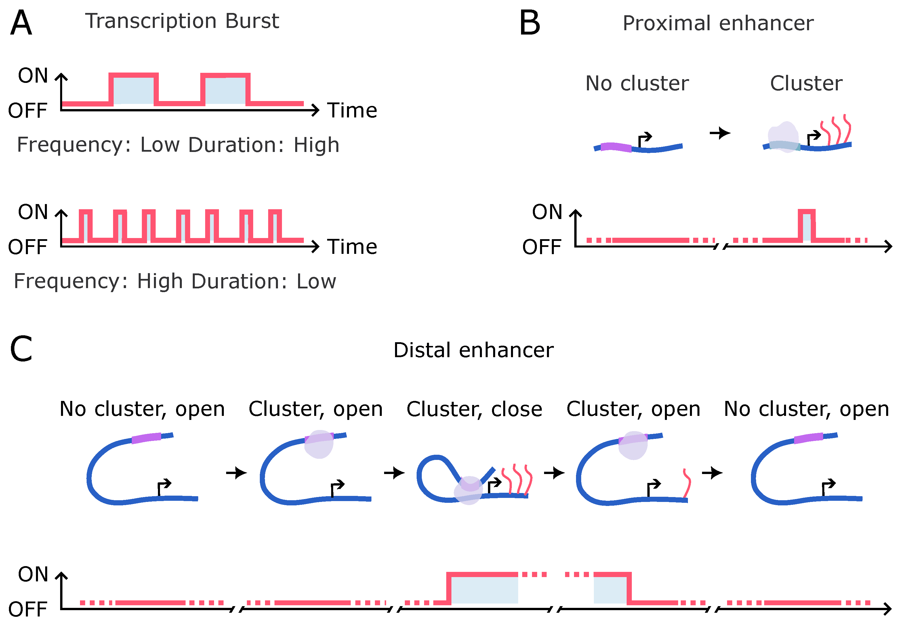 Biomolecules 14 00875 g004