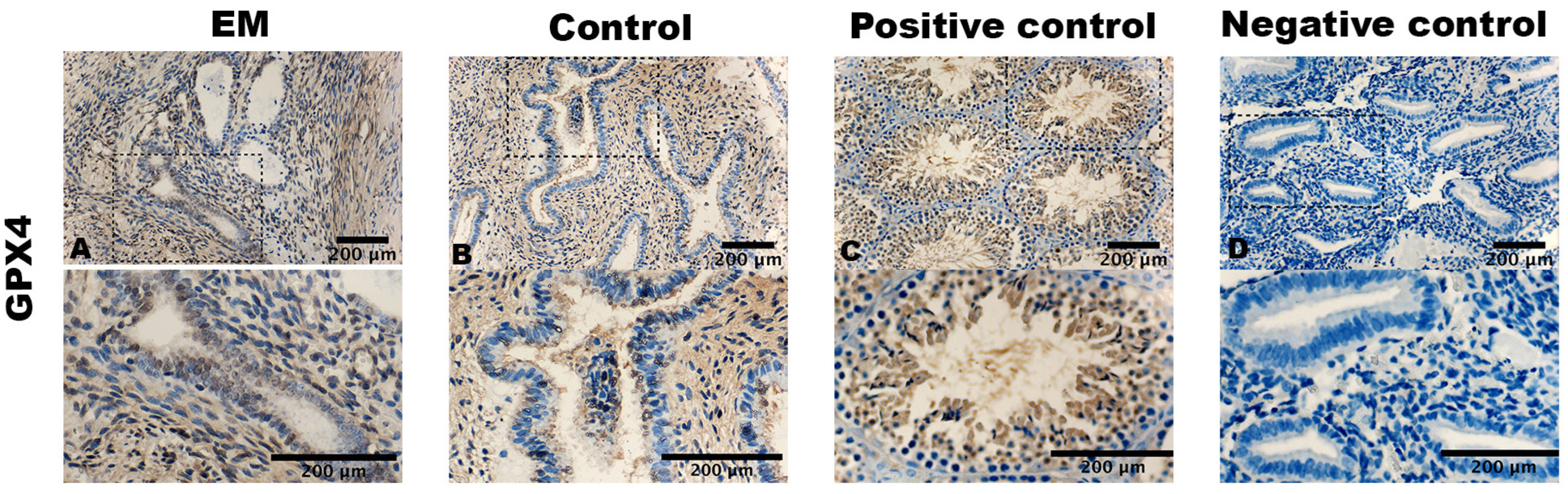 Biomolecules 14 00876 g001