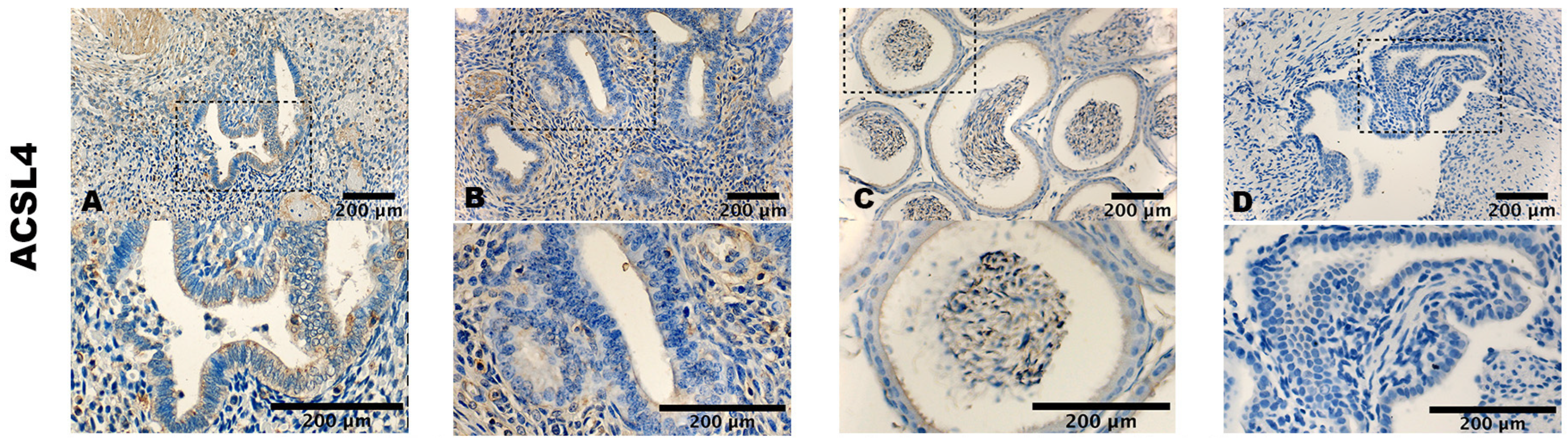 Biomolecules 14 00876 g002