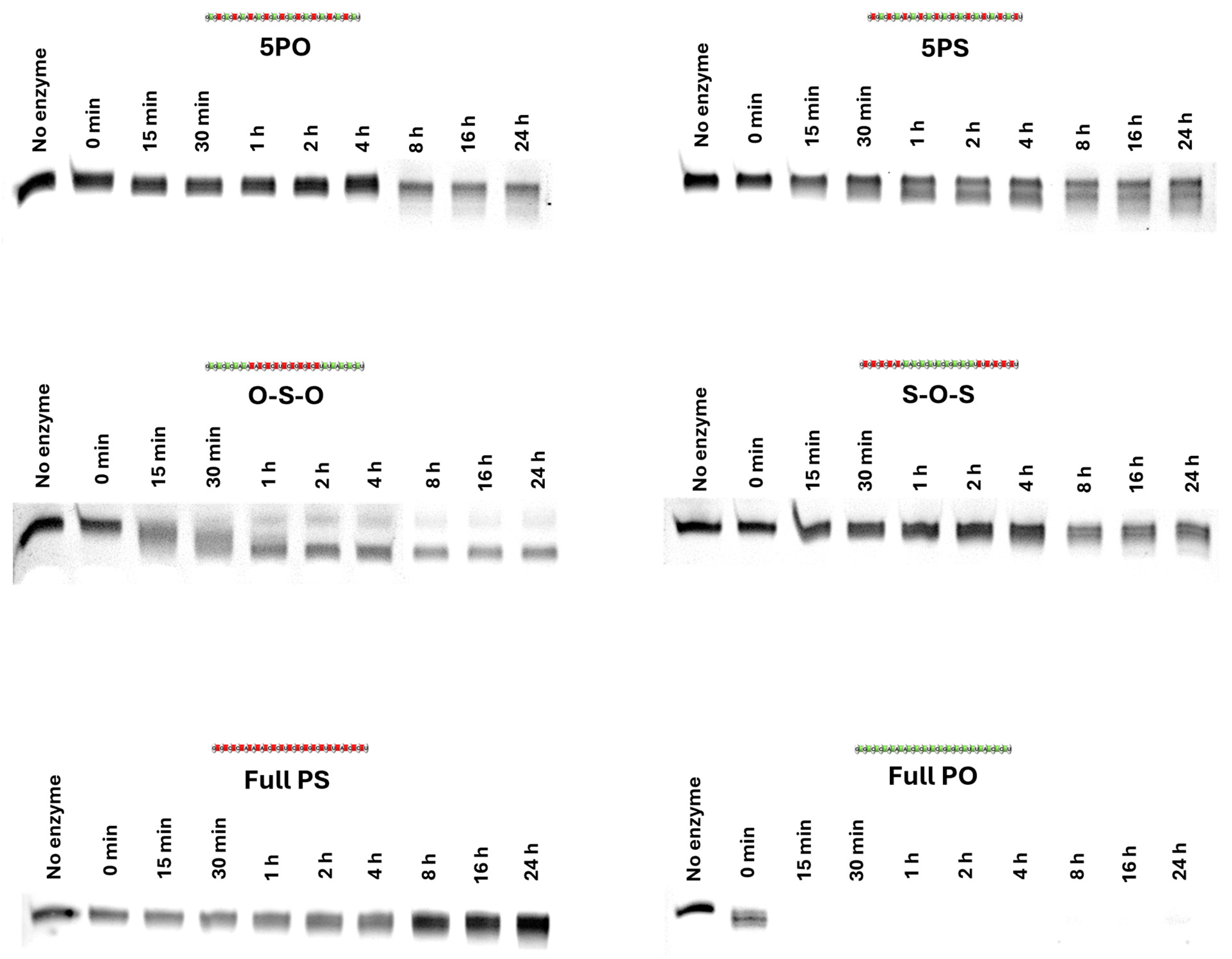 Biomolecules 14 00883 g003
