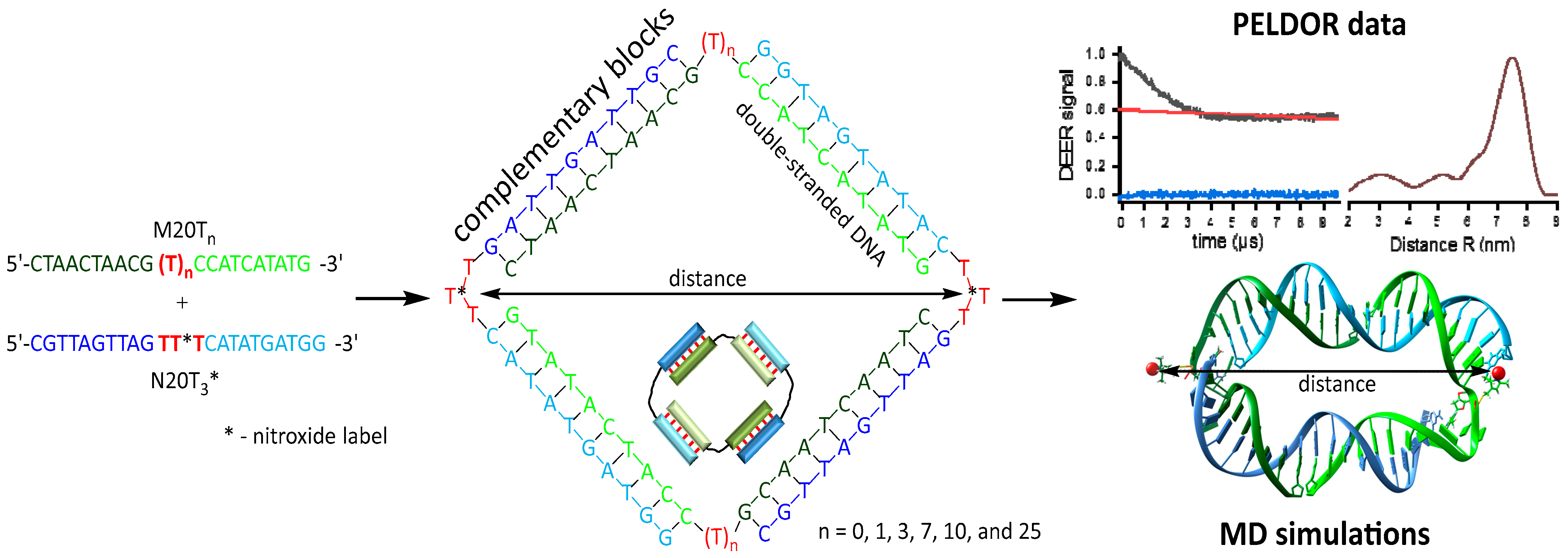 Biomolecules 14 00887 g002