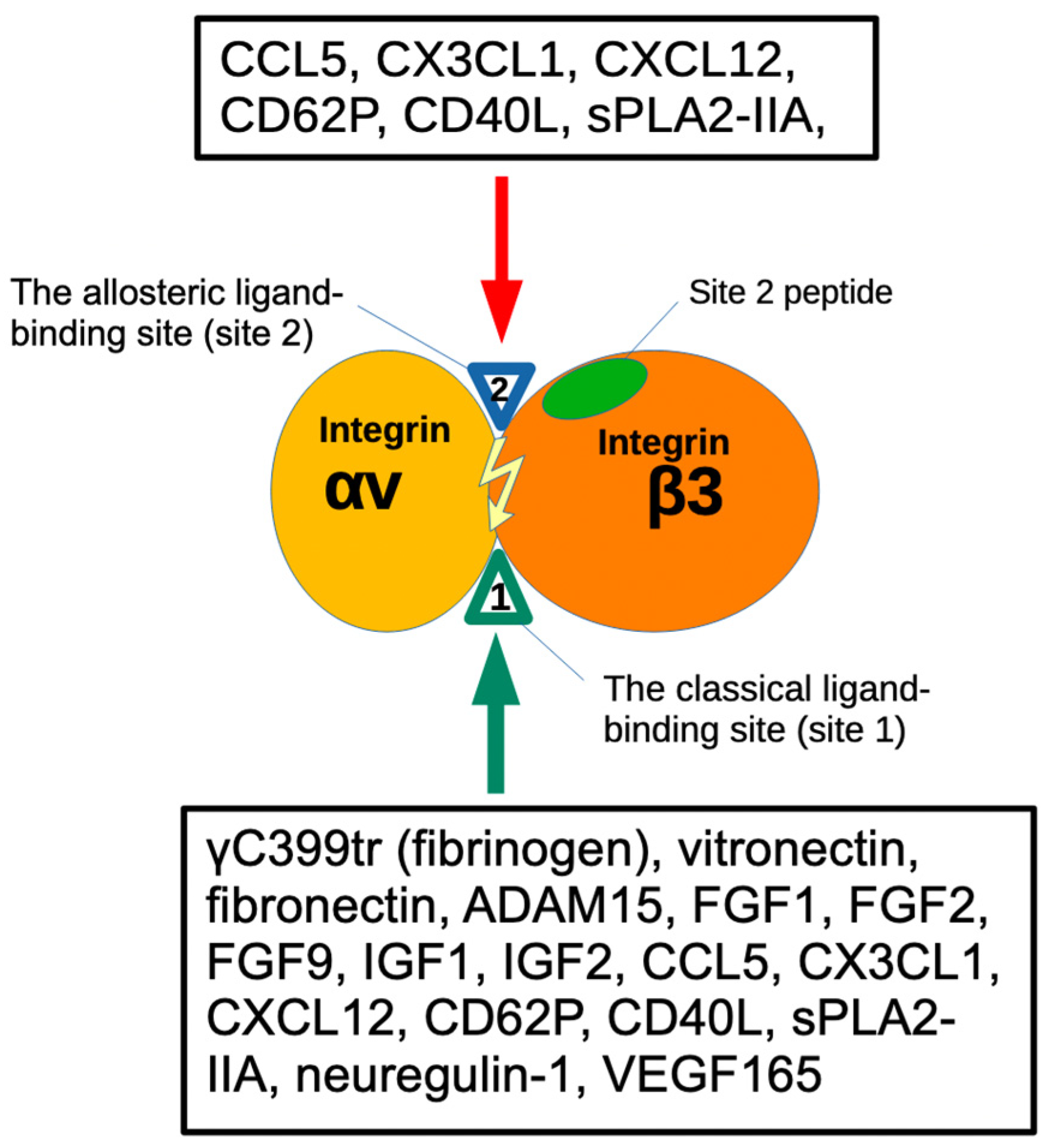 Biomolecules 14 00888 g001