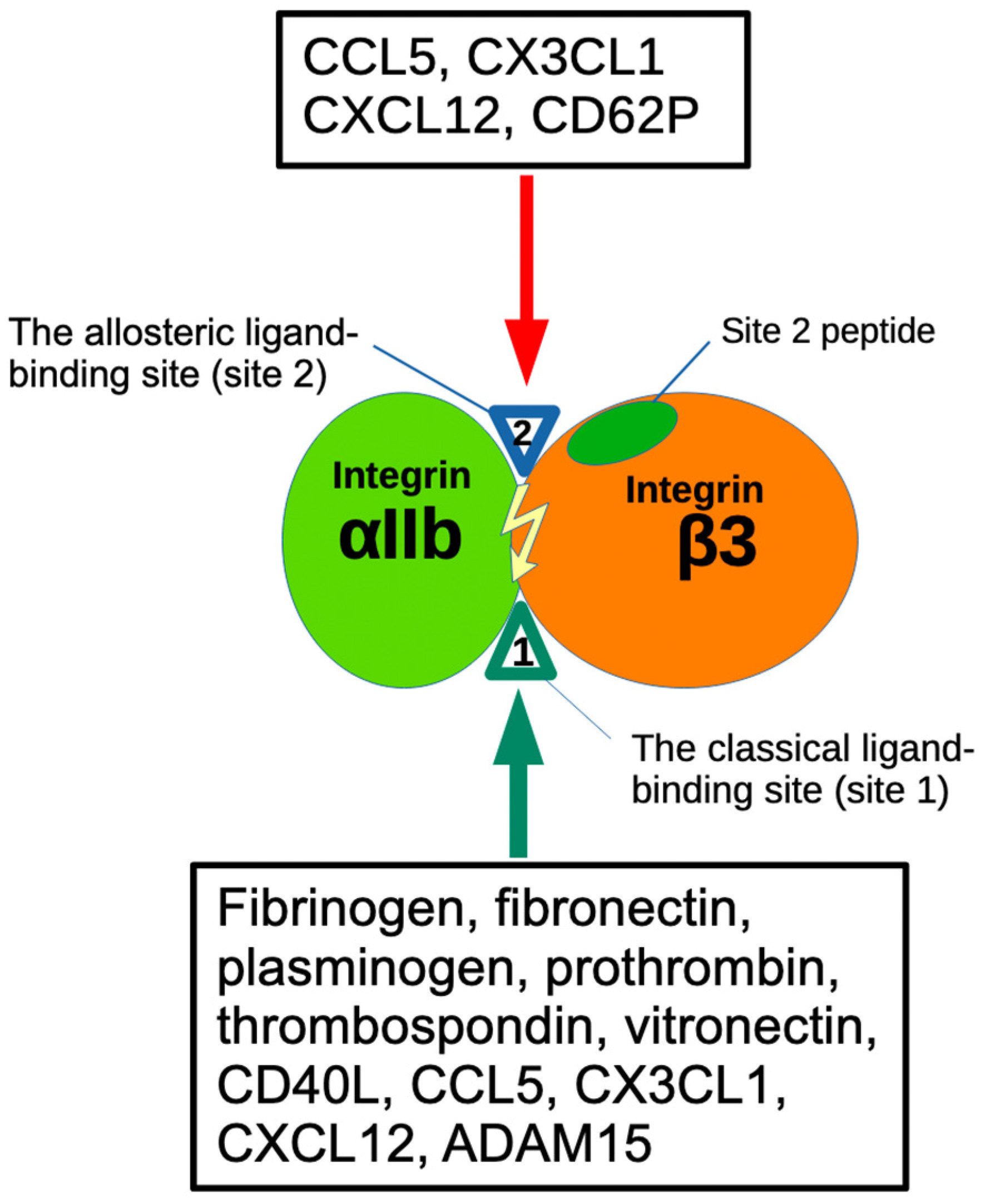 Biomolecules 14 00888 g002