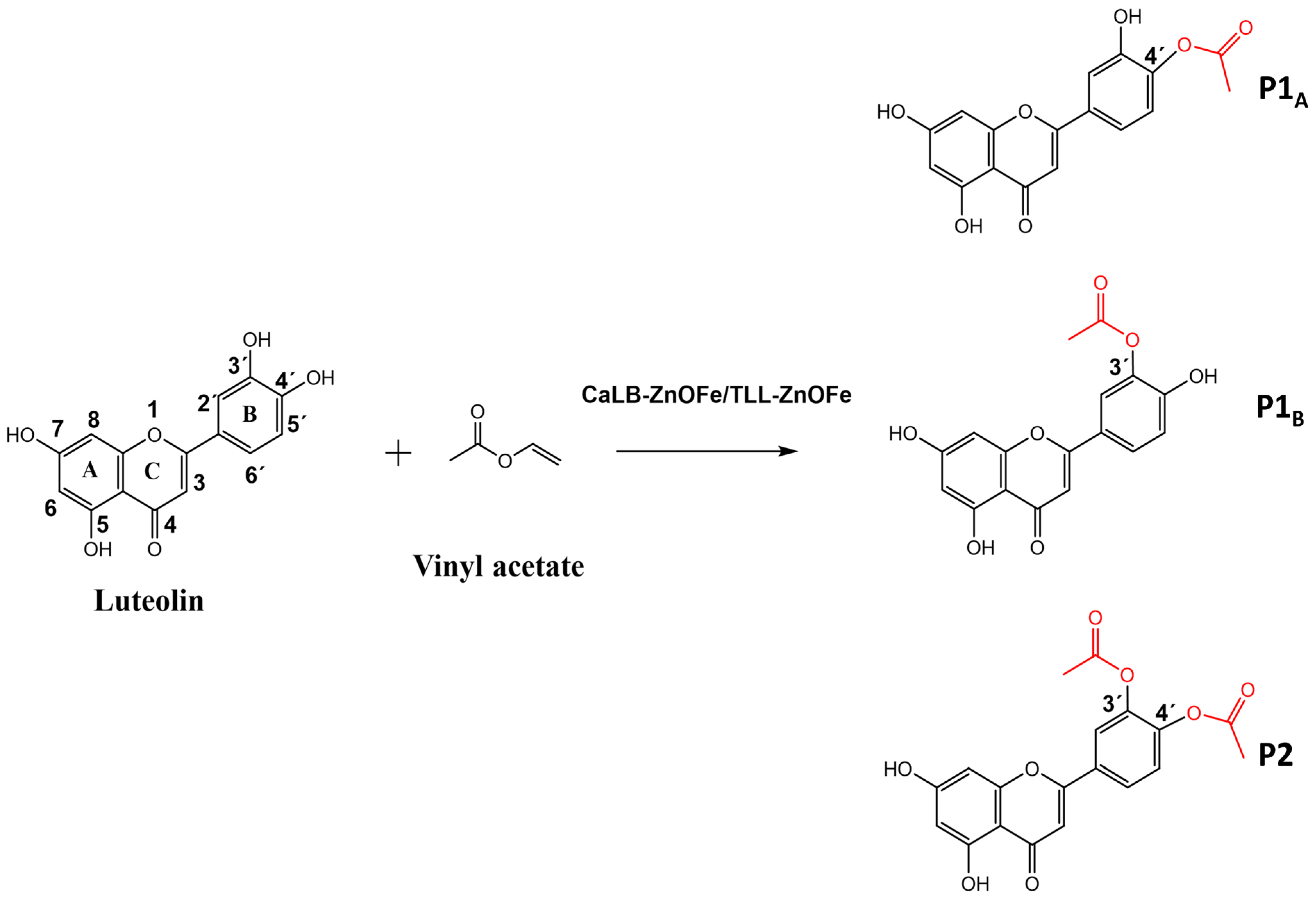 Biomolecules 14 00897 sch002