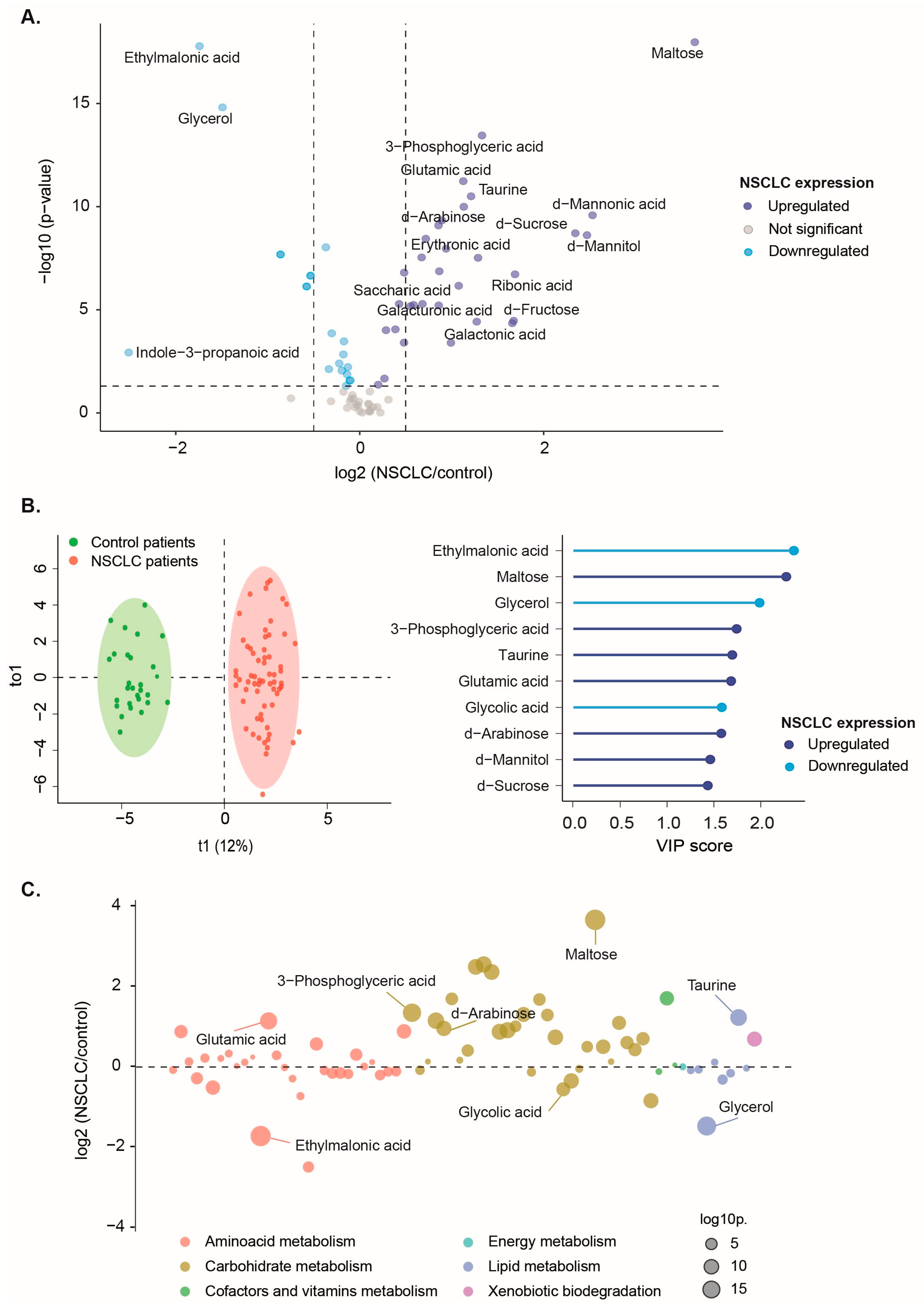 Biomolecules 14 00898 g001