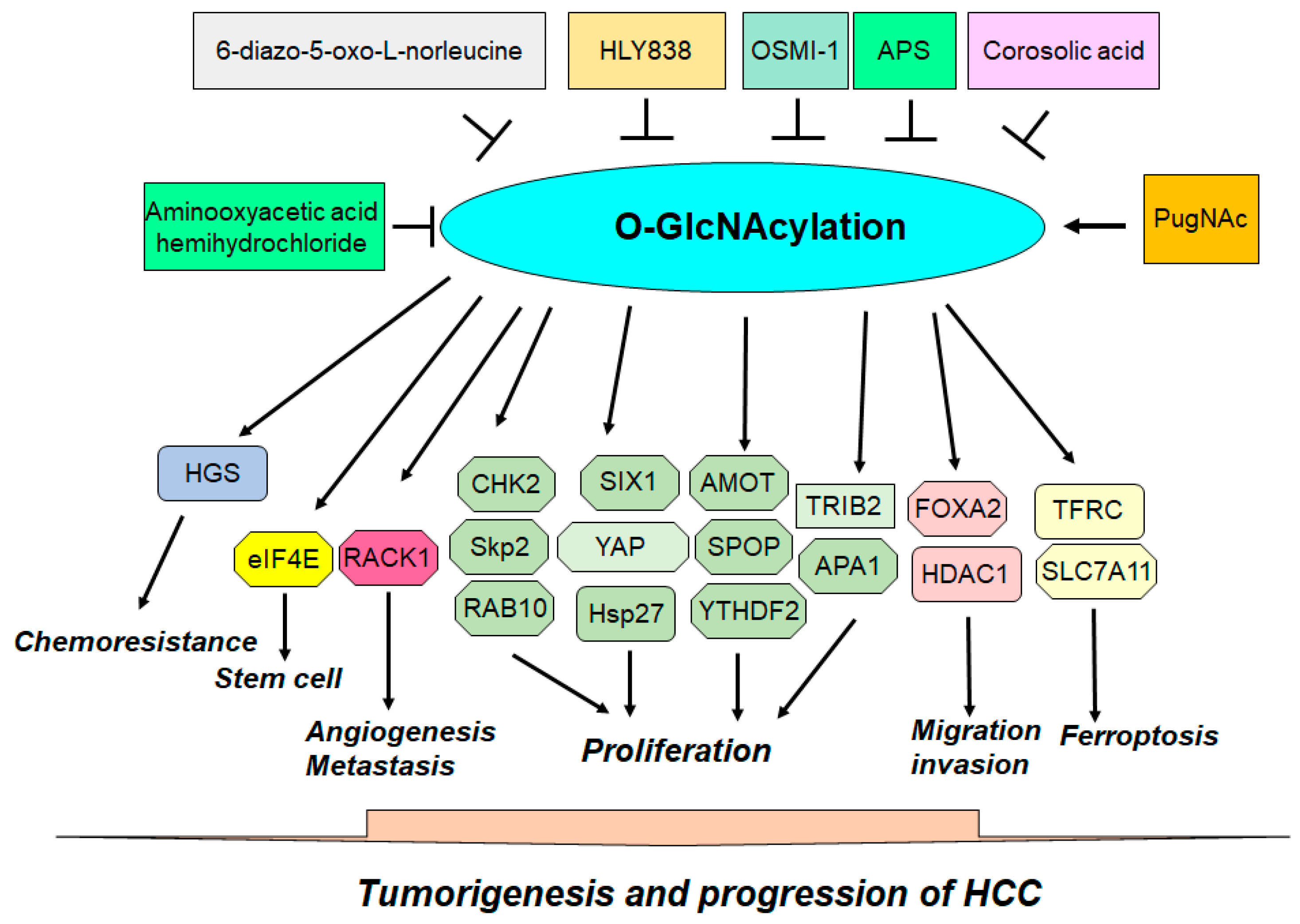 Biomolecules 14 00908 g002