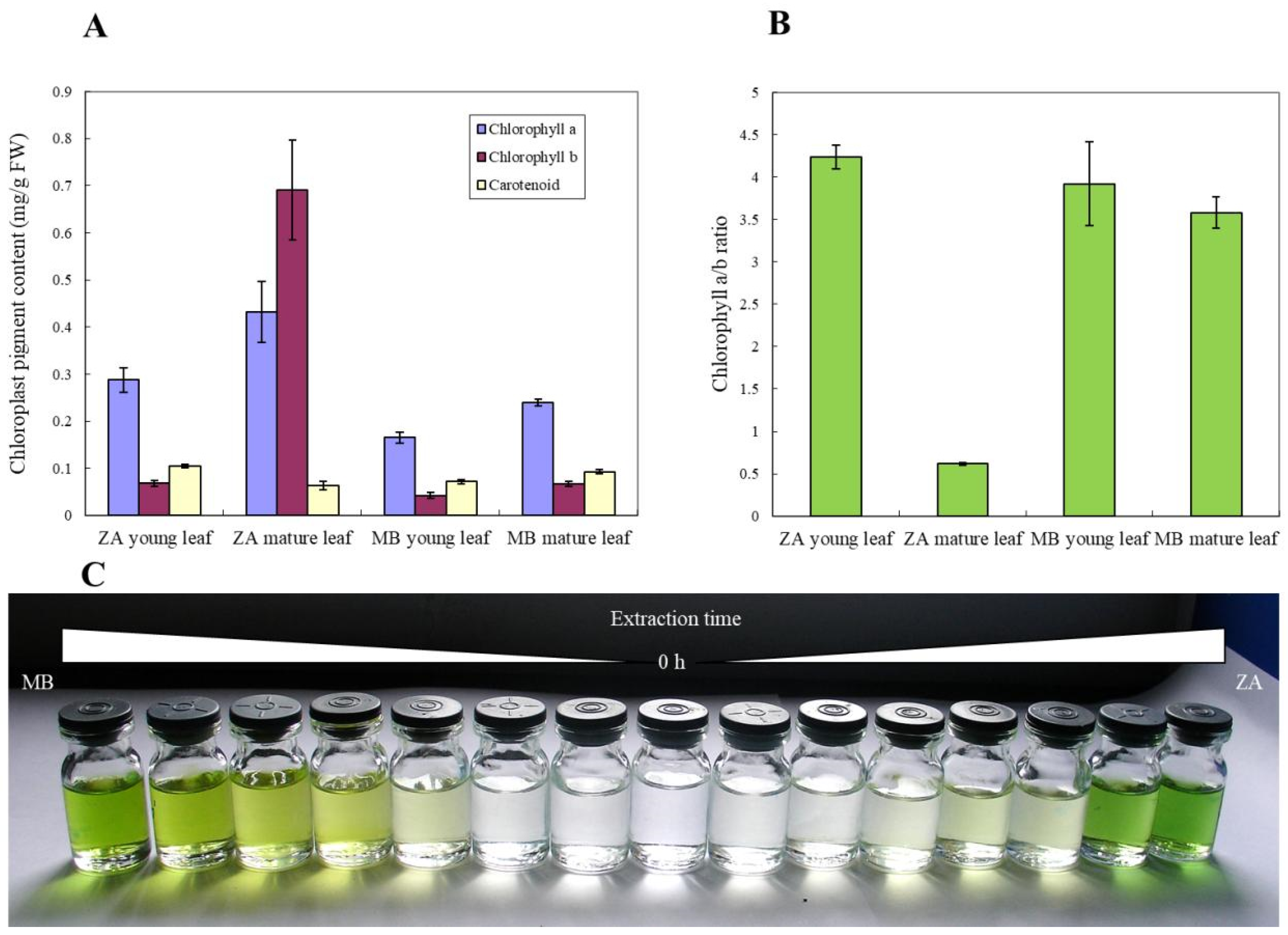 Biomolecules 14 00912 g002