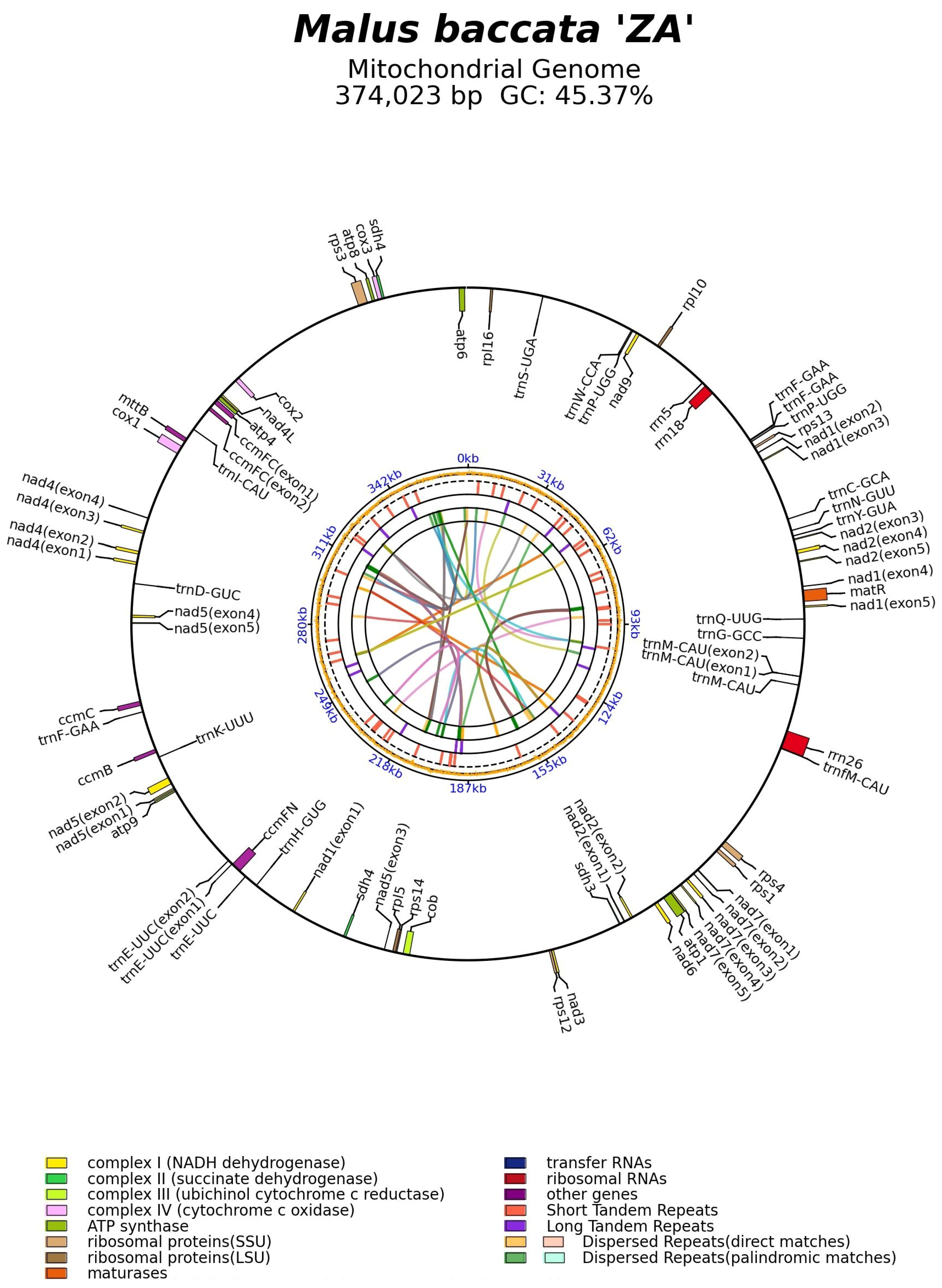 Biomolecules 14 00912 g003