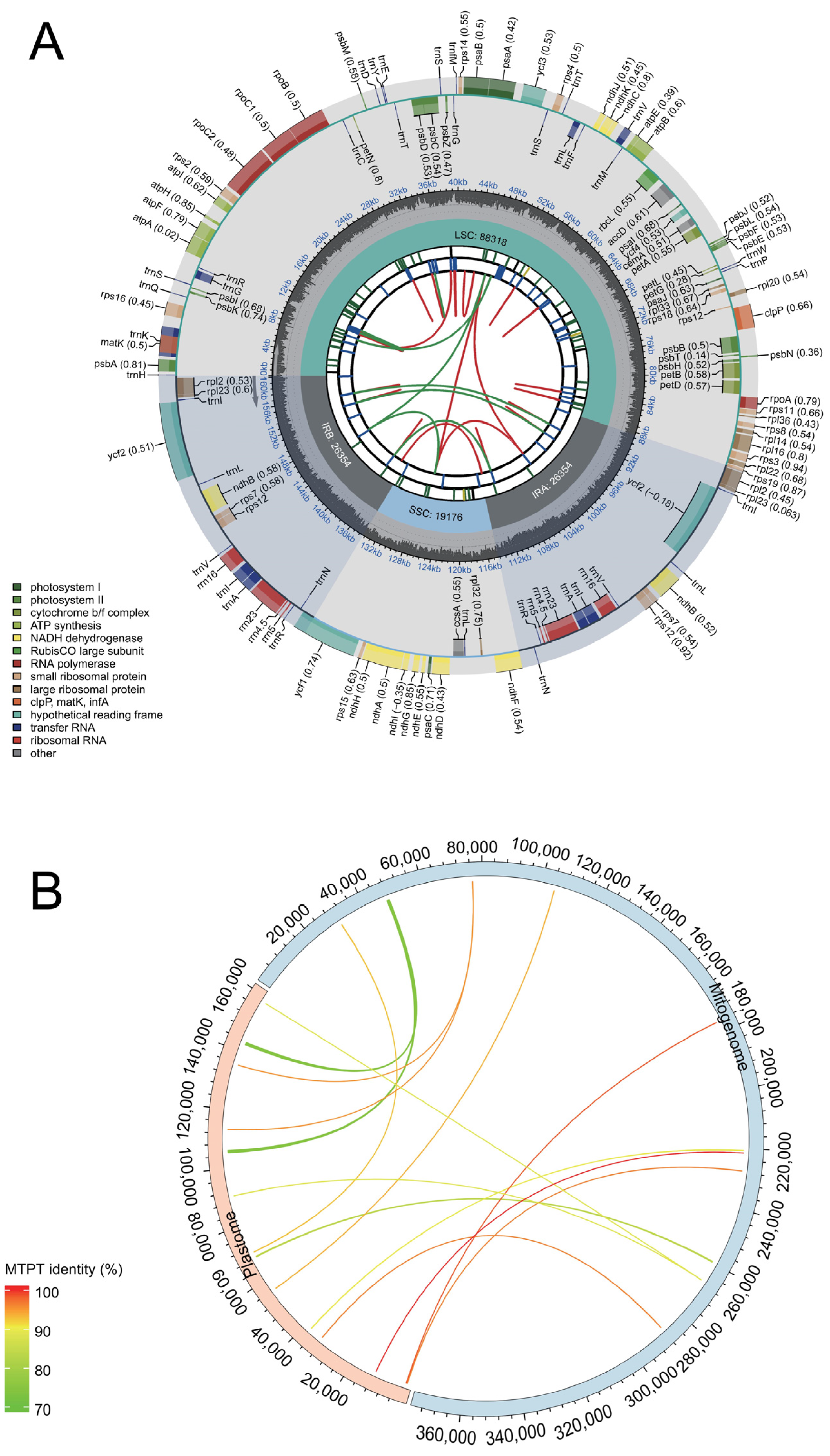 Biomolecules 14 00912 g007
