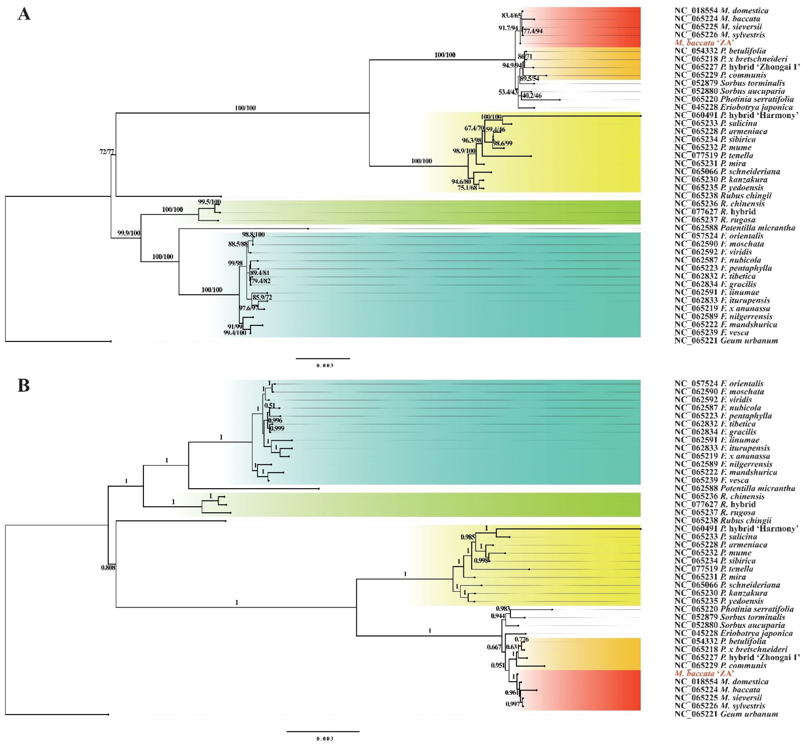 Biomolecules 14 00912 g012