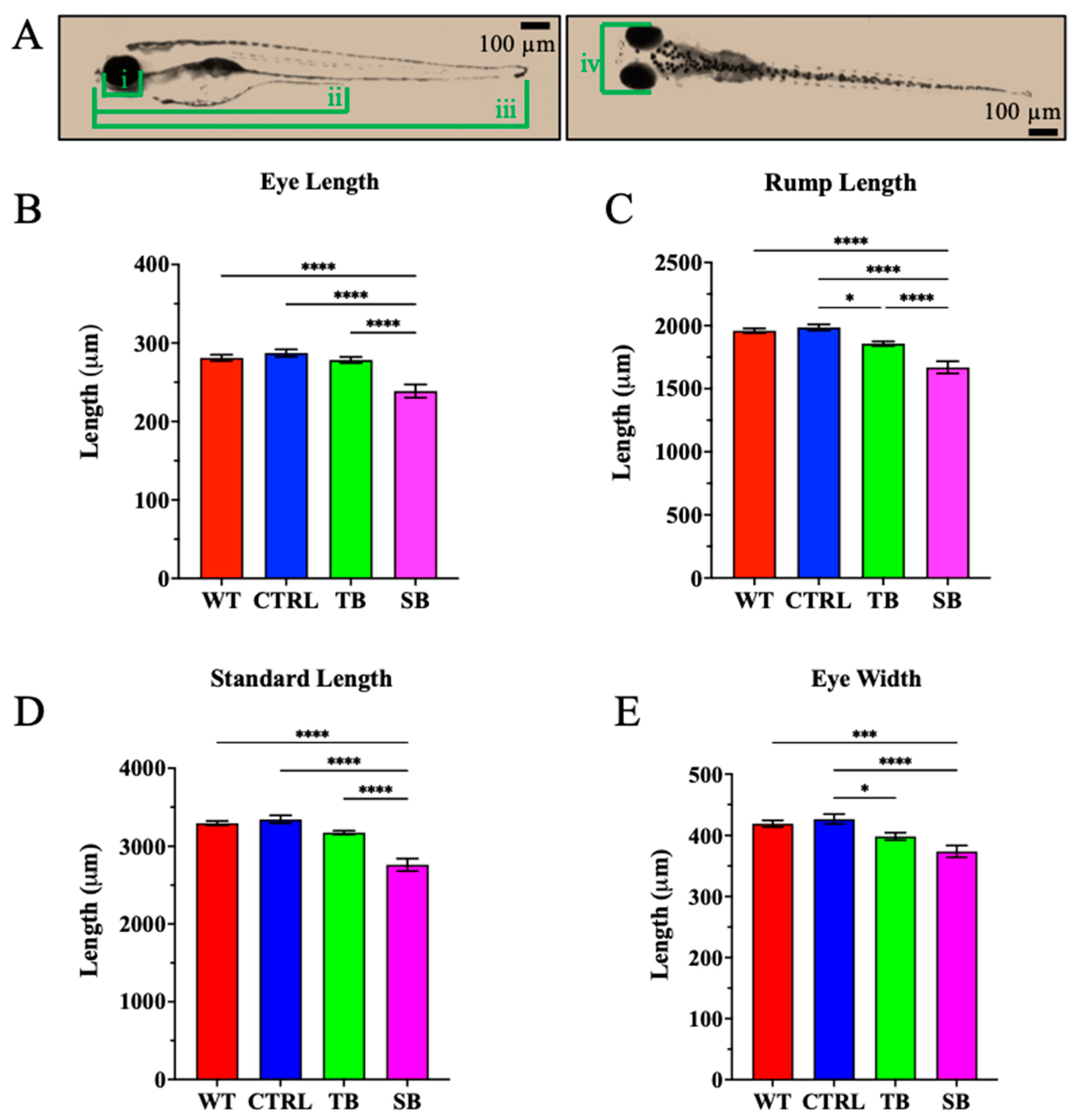 Biomolecules 14 00914 g004
