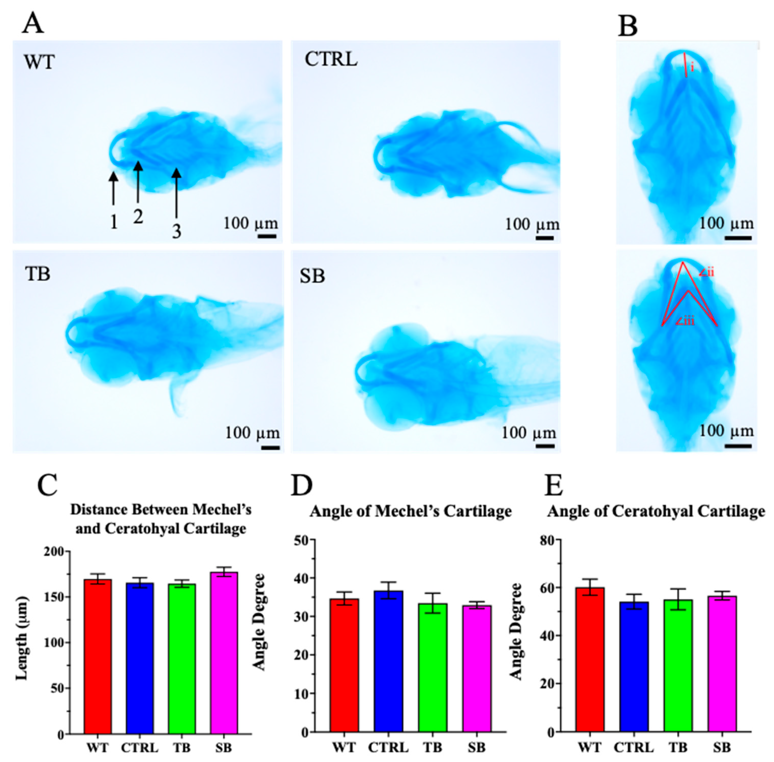 Biomolecules 14 00914 g006
