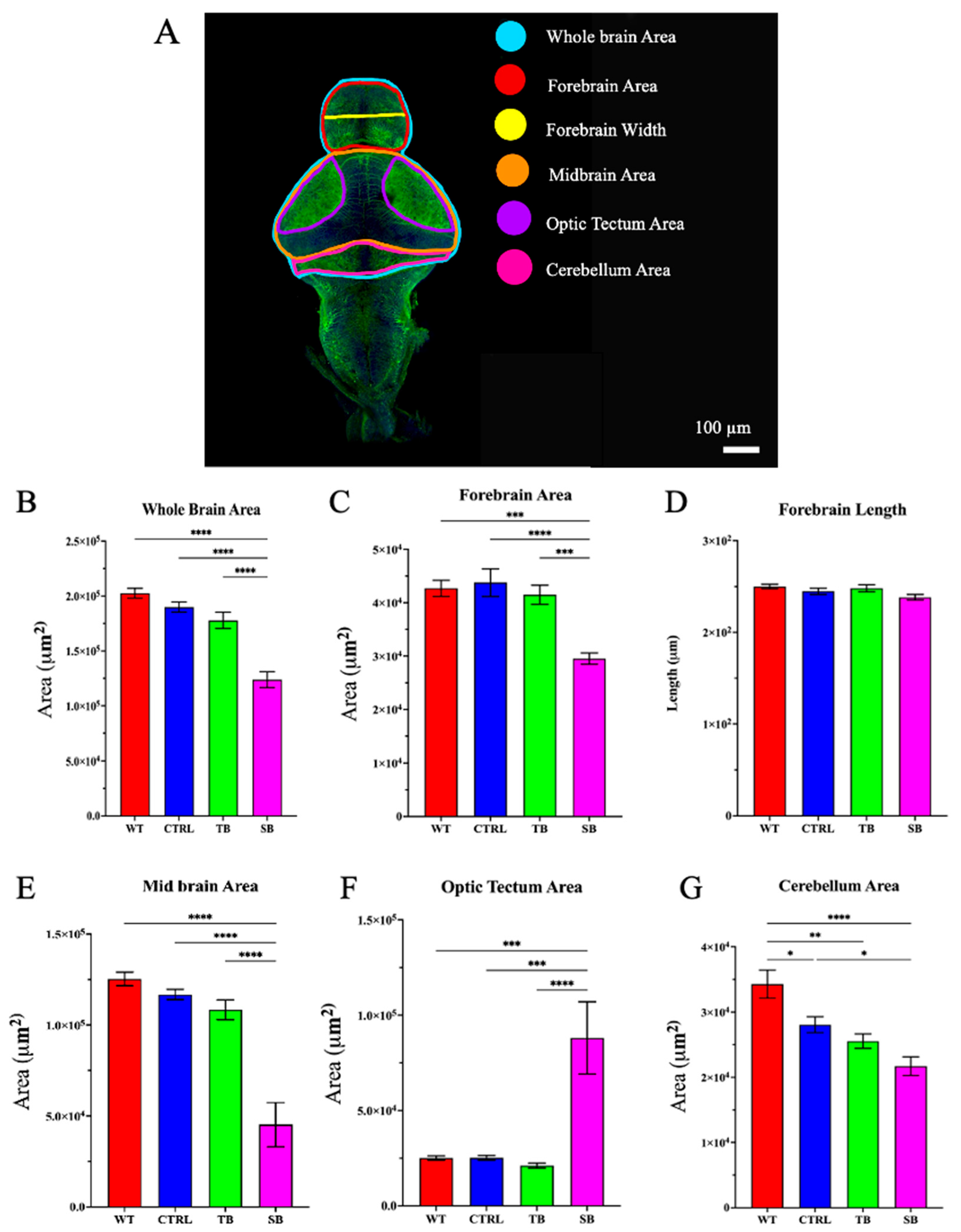 Biomolecules 14 00914 g007