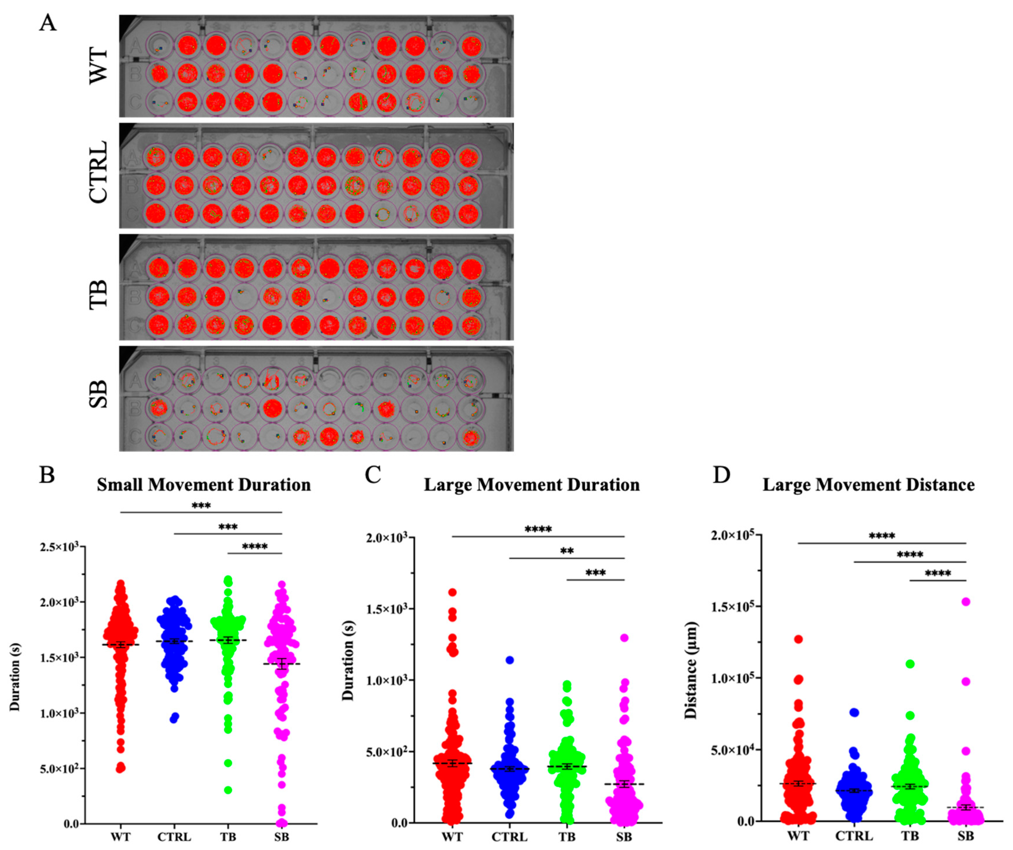 Biomolecules 14 00914 g010
