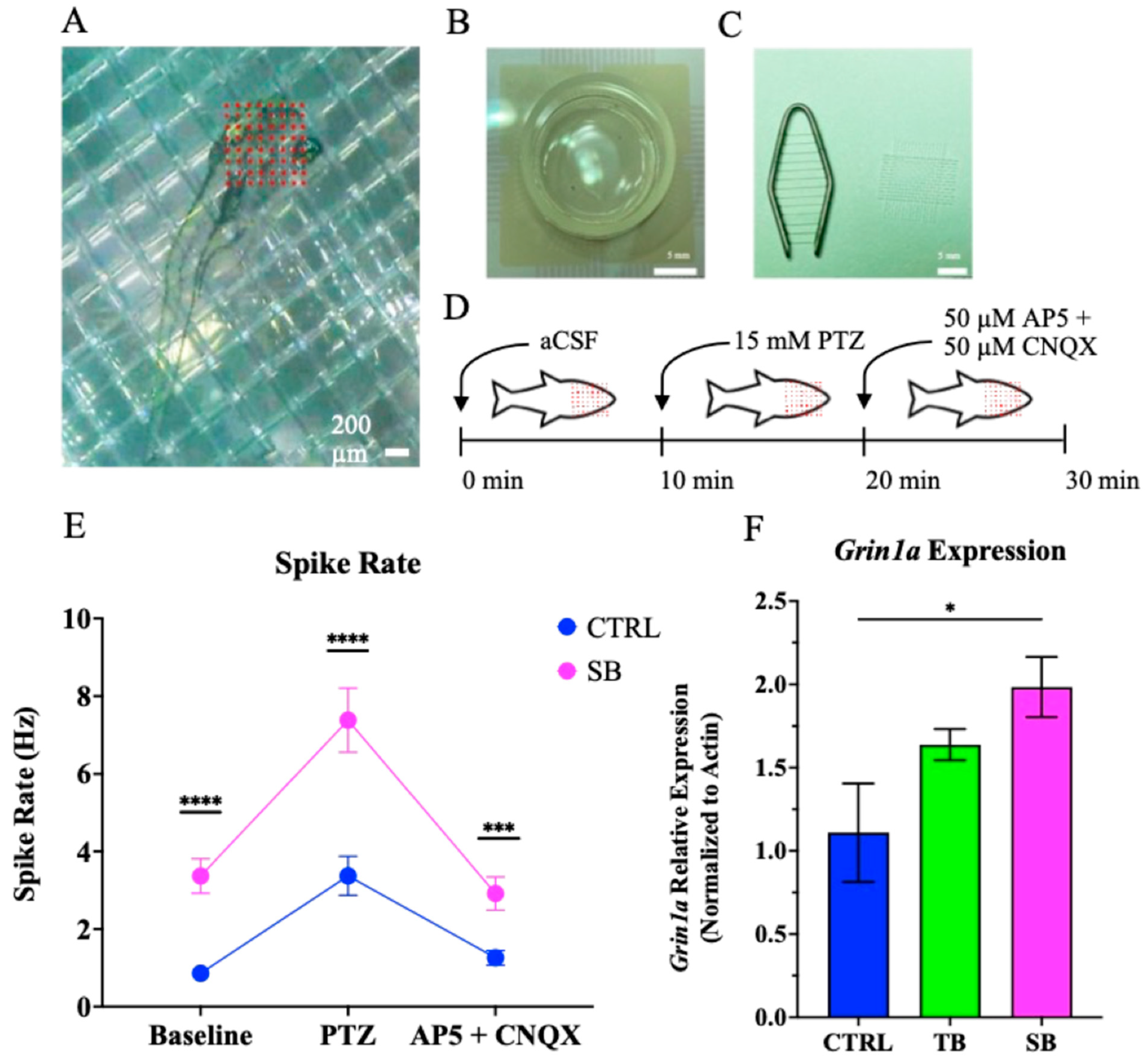 Biomolecules 14 00914 g011