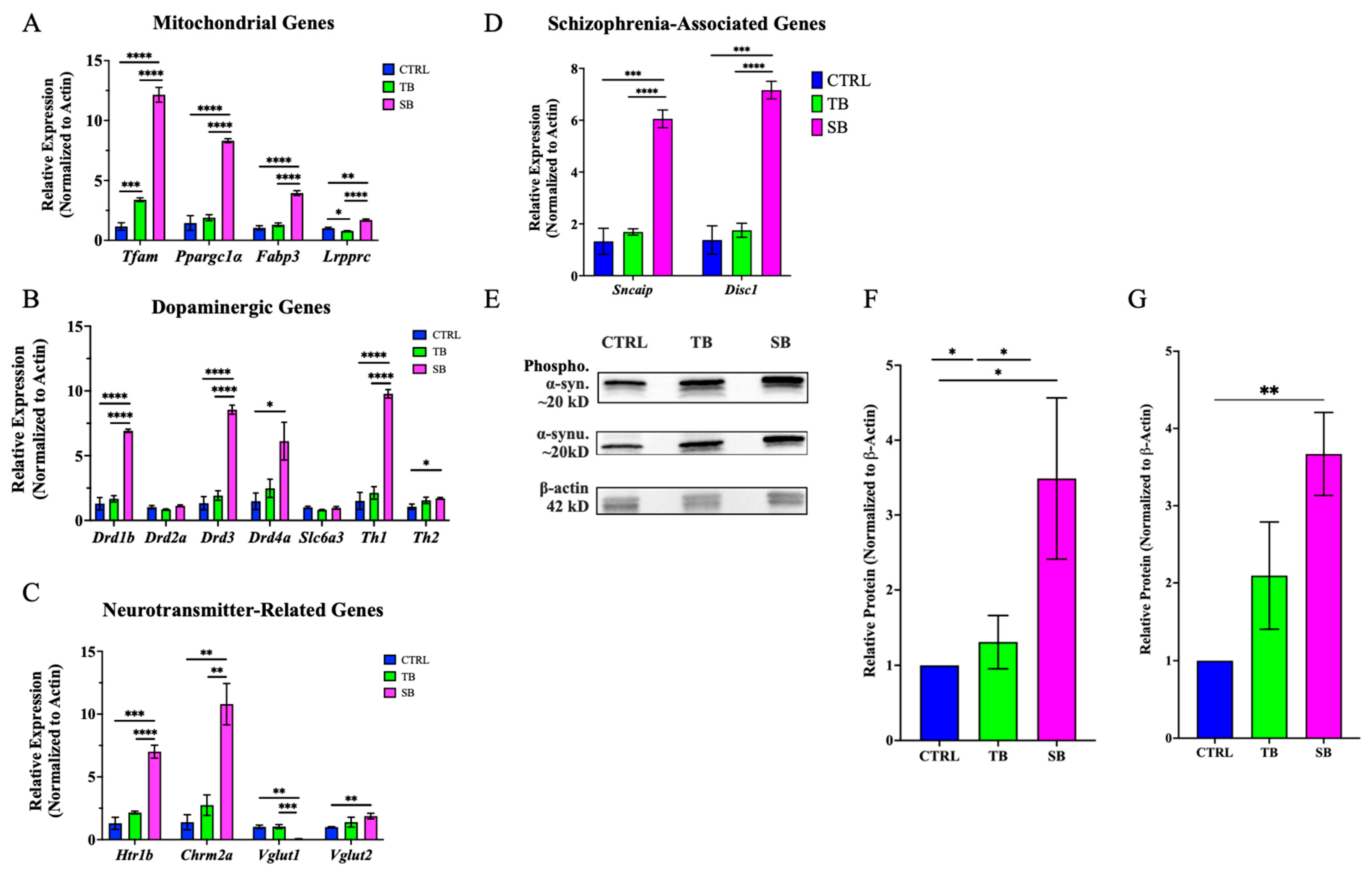 Biomolecules 14 00914 g012