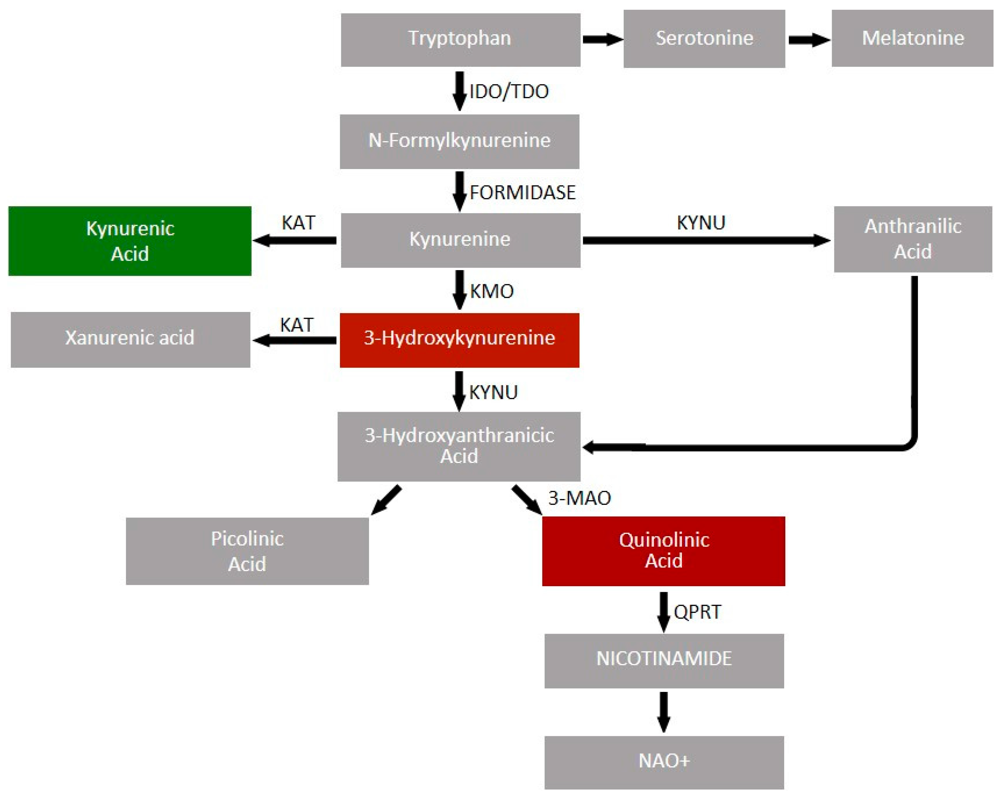 Biomolecules 14 00918 g002