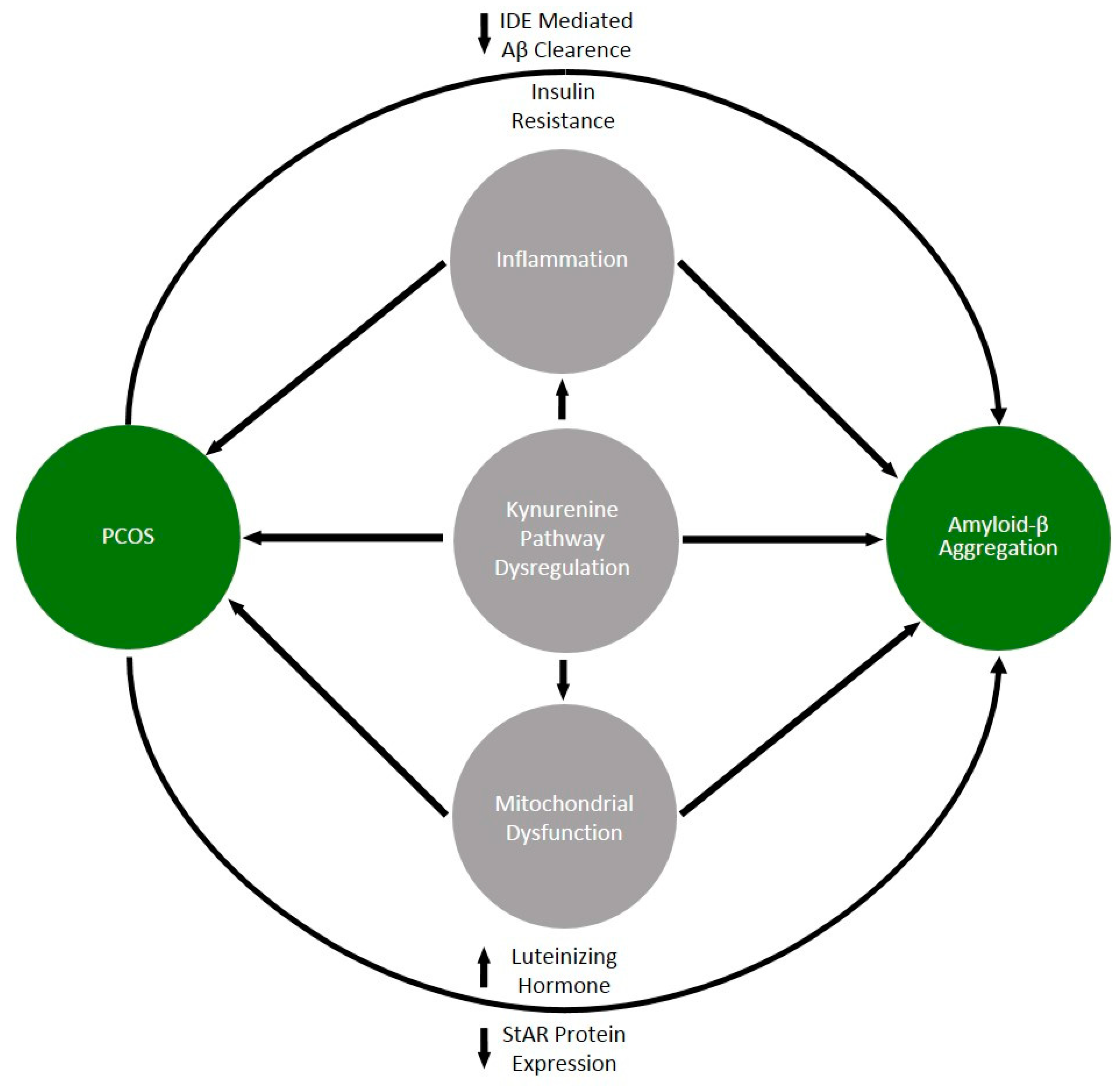 Biomolecules 14 00918 g003