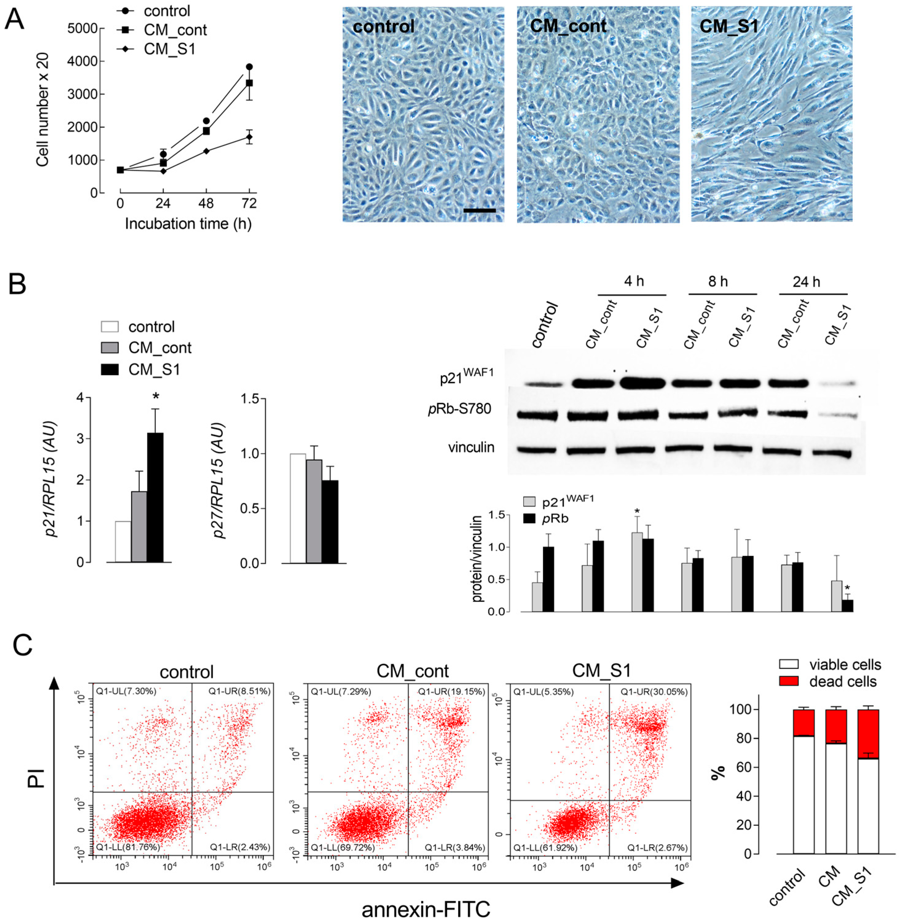 Biomolecules 14 00927 g001