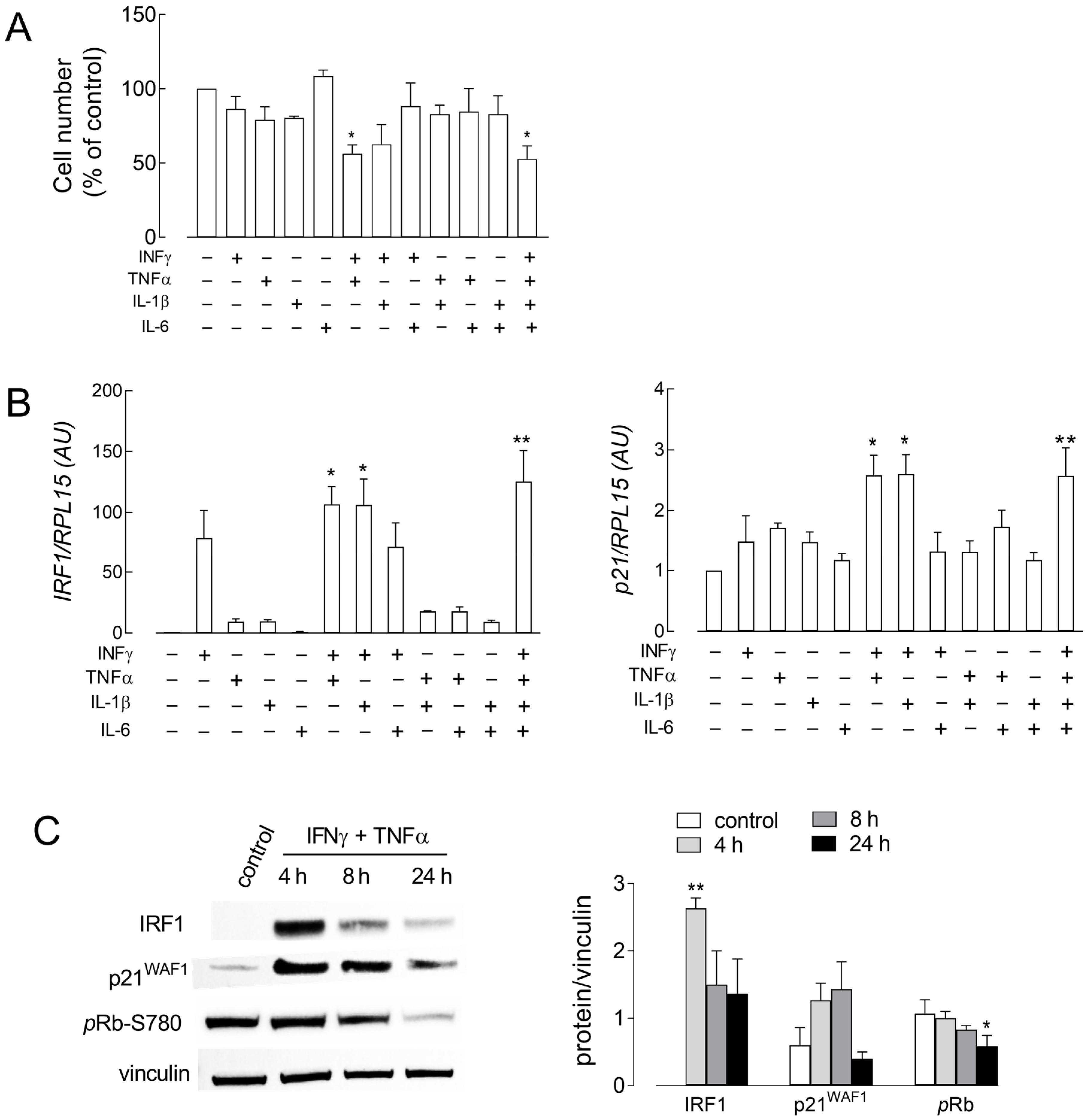 Biomolecules 14 00927 g003