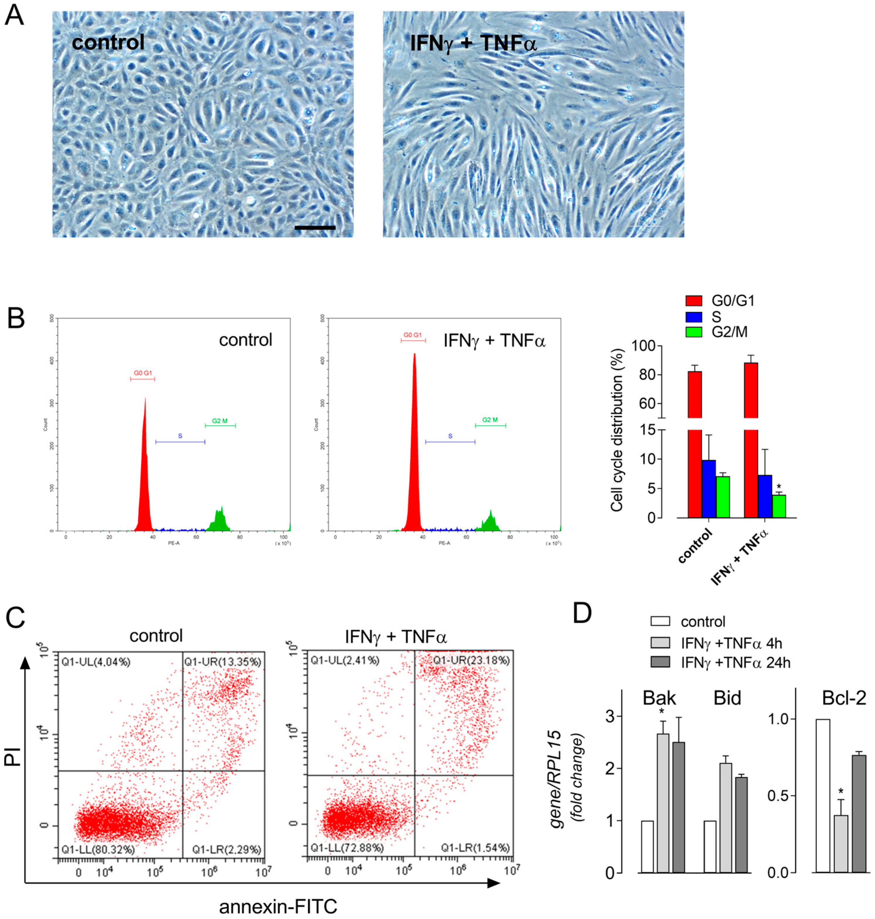 Biomolecules 14 00927 g004