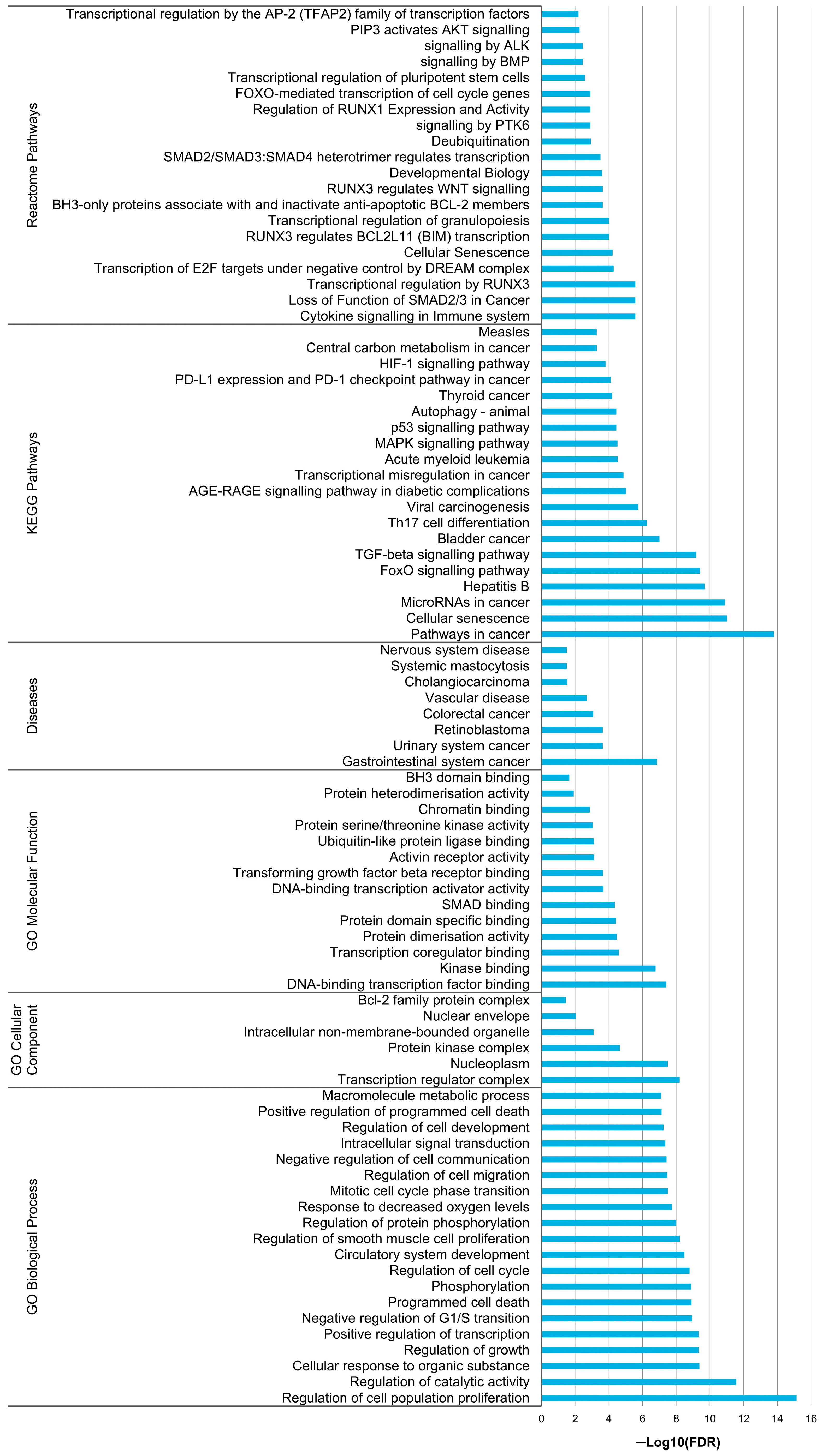 Biomolecules 14 00928 g006 Biomolecules 14 00928 g006