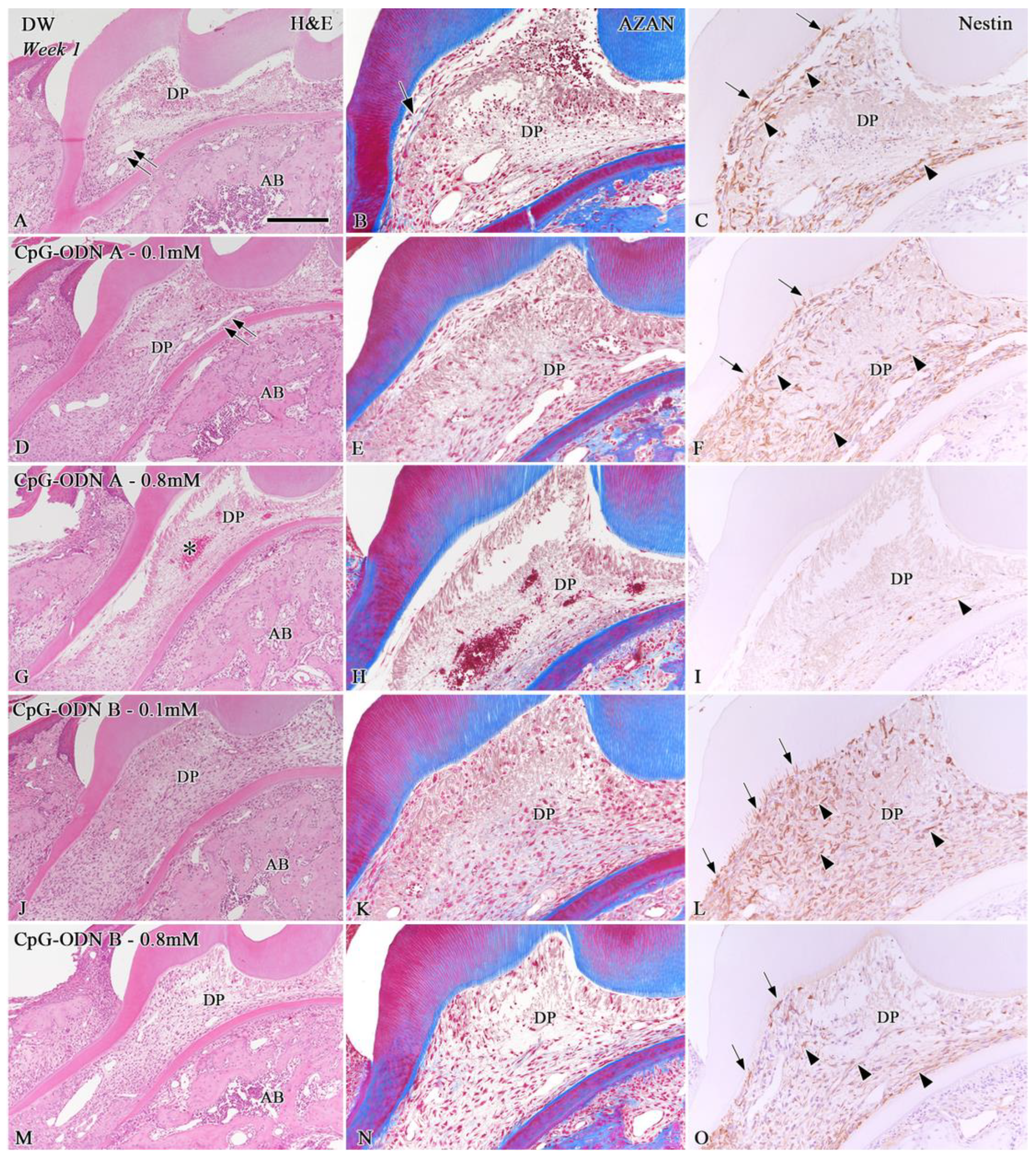 Biomolecules 14 00931 g001