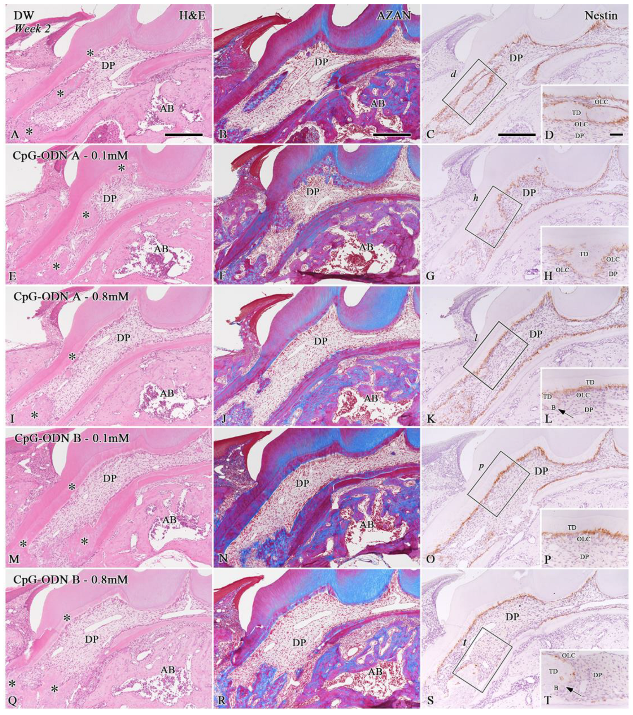 Biomolecules 14 00931 g003