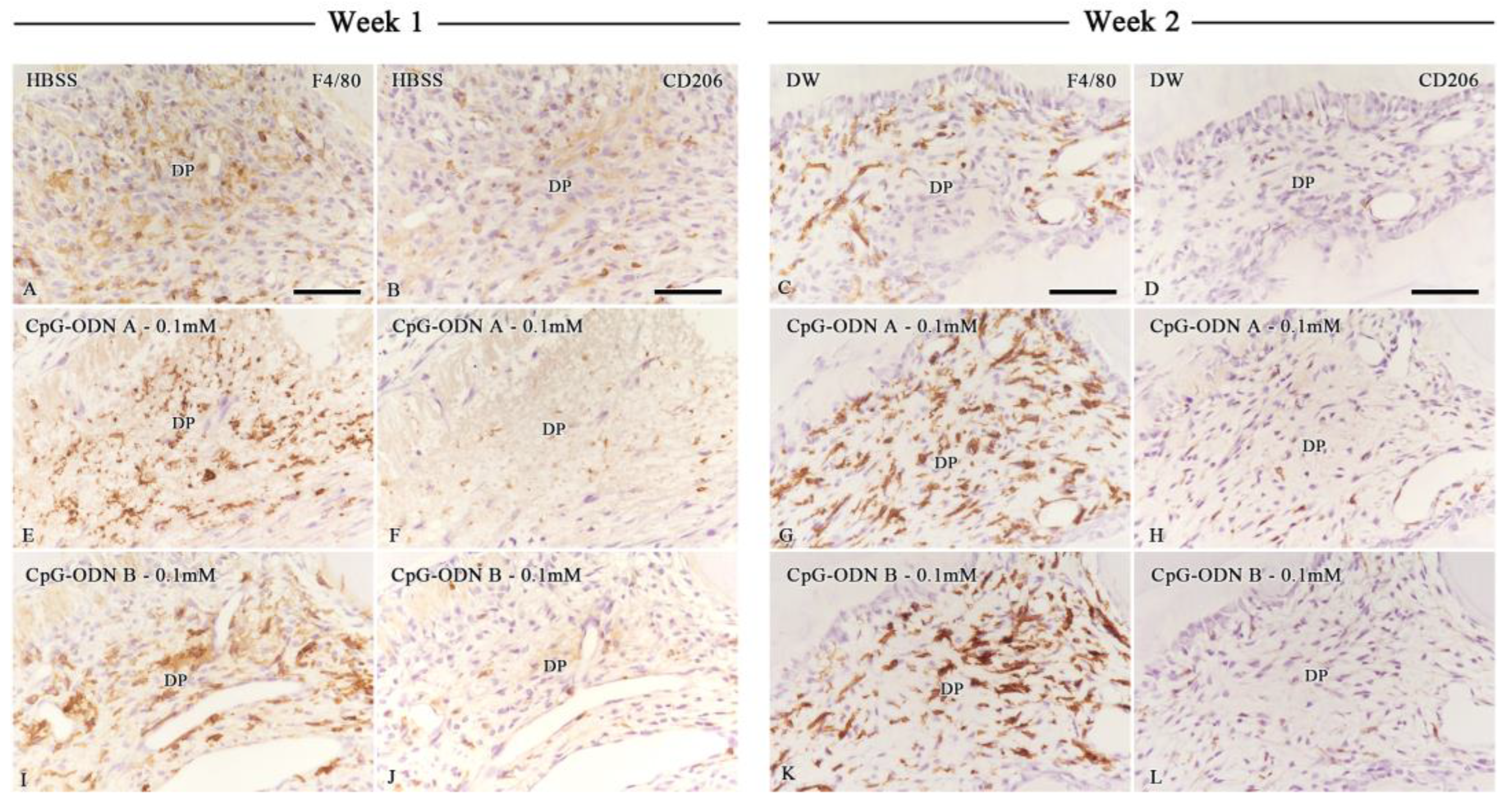Biomolecules 14 00931 g005