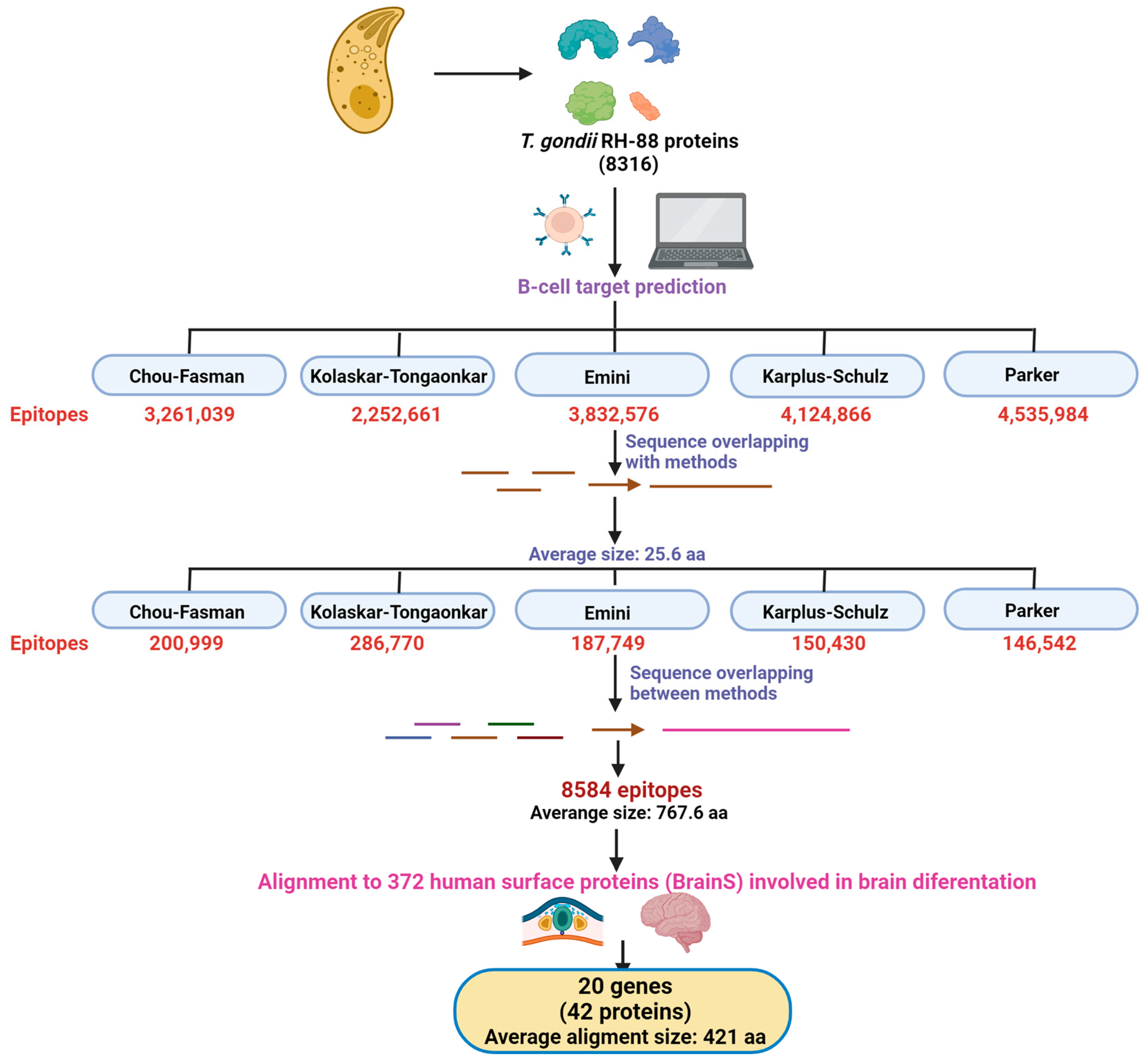 Biomolecules 14 00933 g001