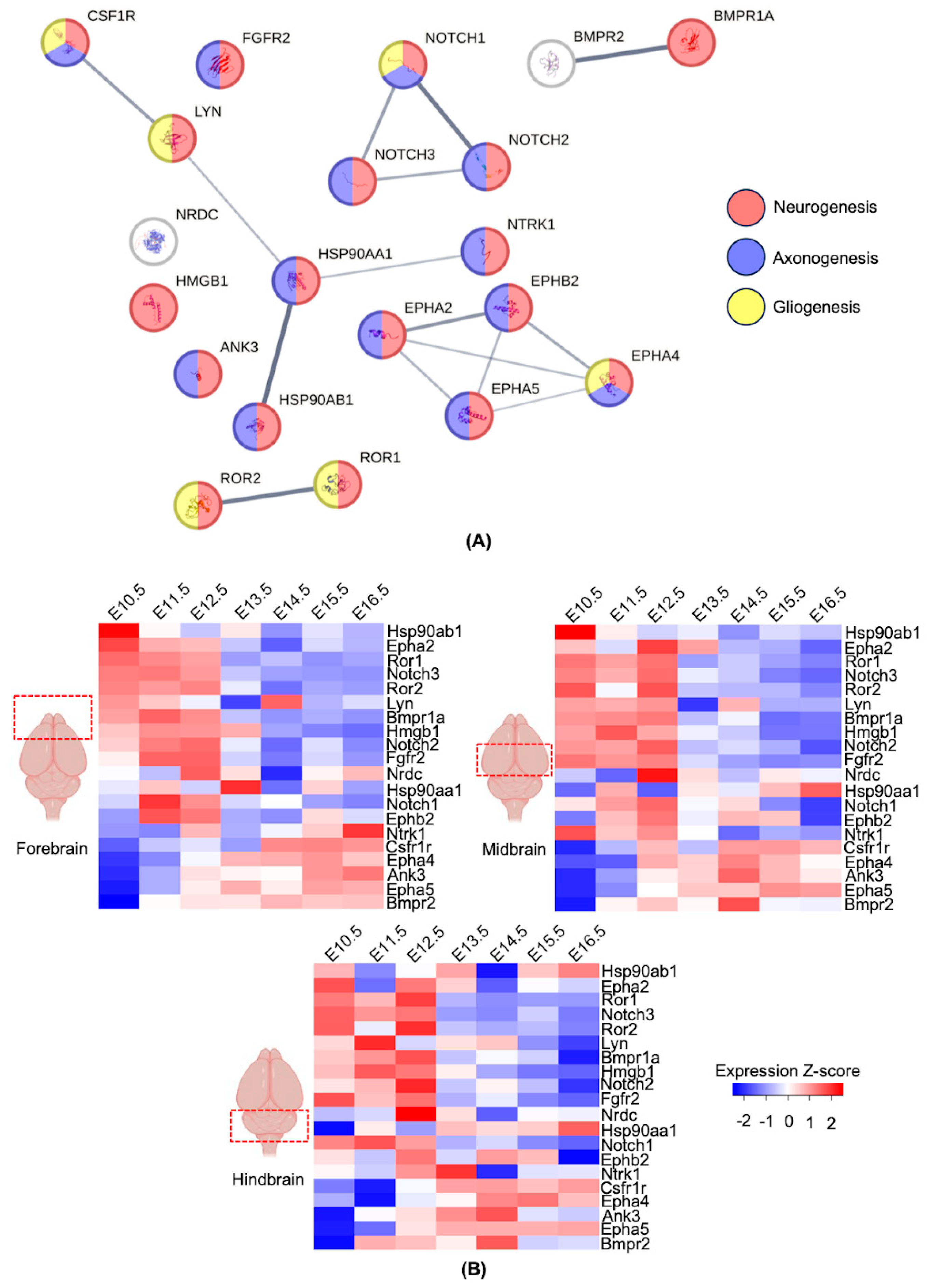 Biomolecules 14 00933 g004