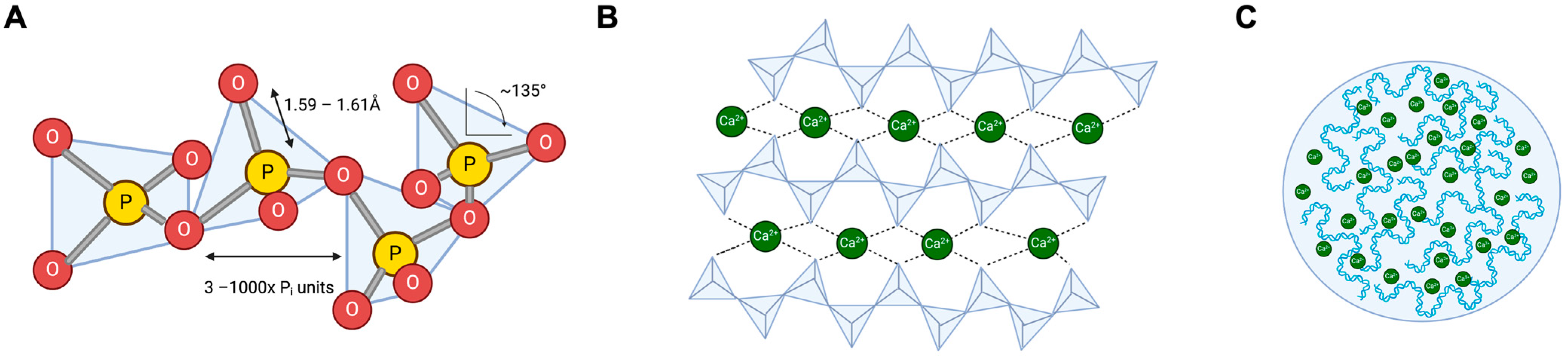 Biomolecules 14 00937 g001 Biomolecules 14 00937 g001