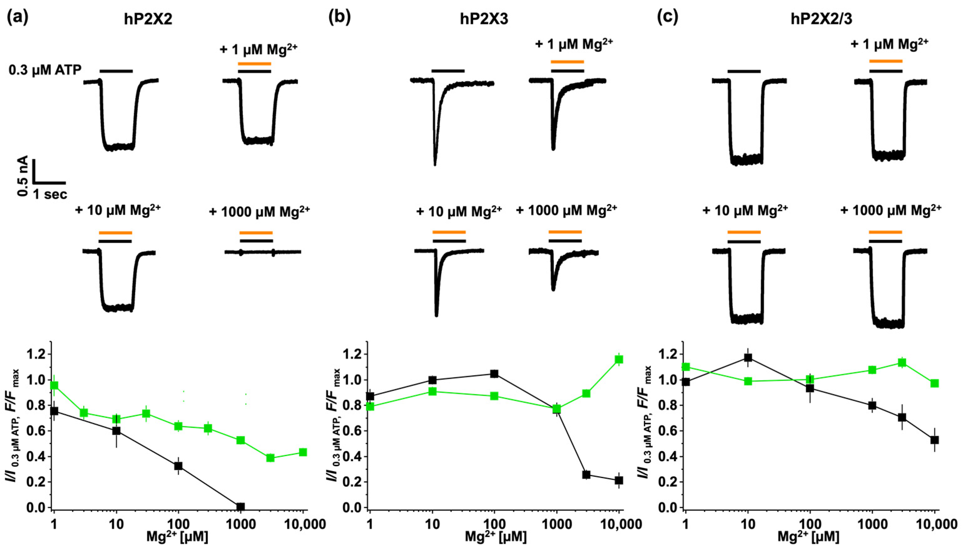 Biomolecules 14 00942 g006 Biomolecules 14 00942 g006
