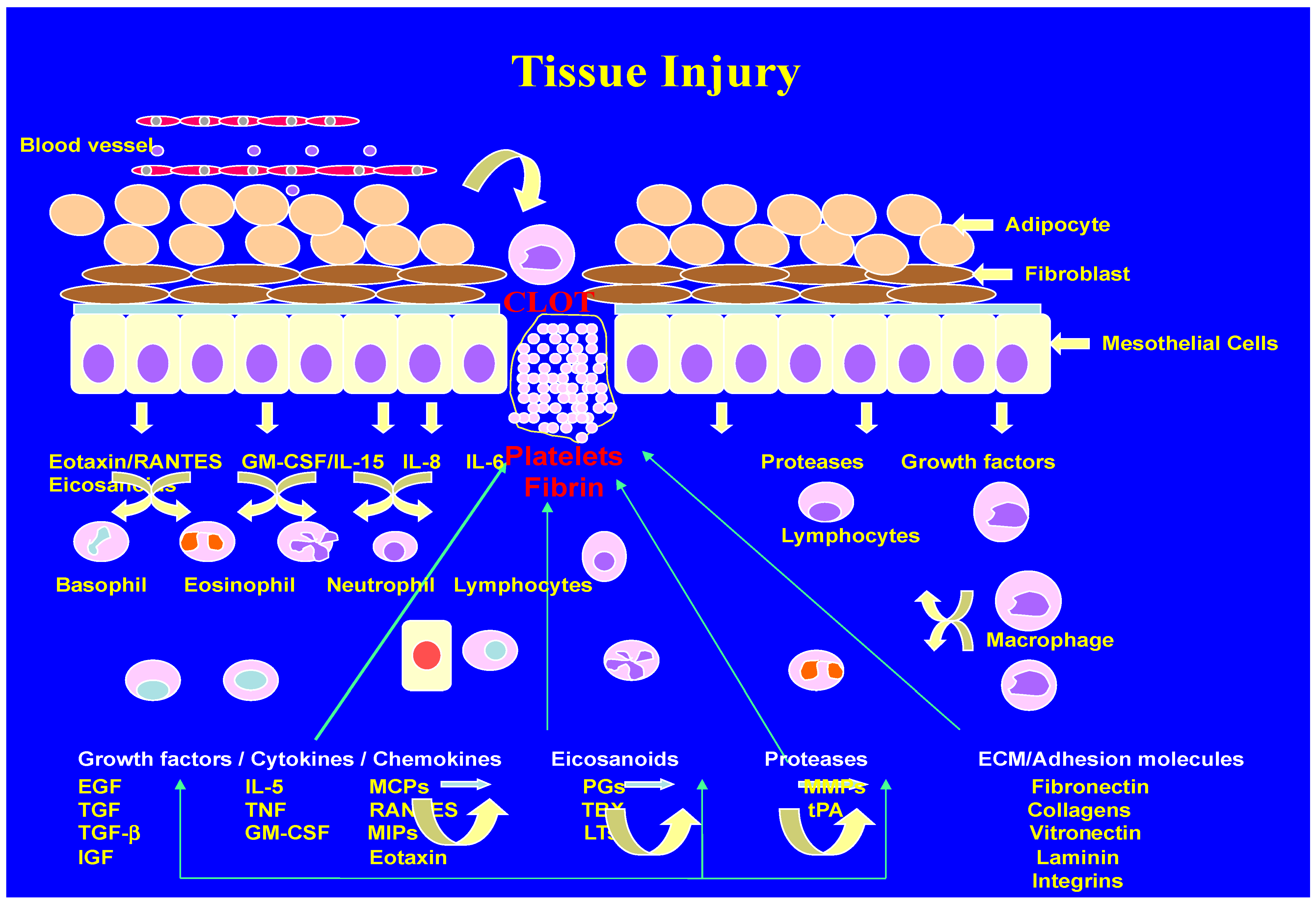 Biomolecules 14 00948 g001 Biomolecules 14 00948 g001
