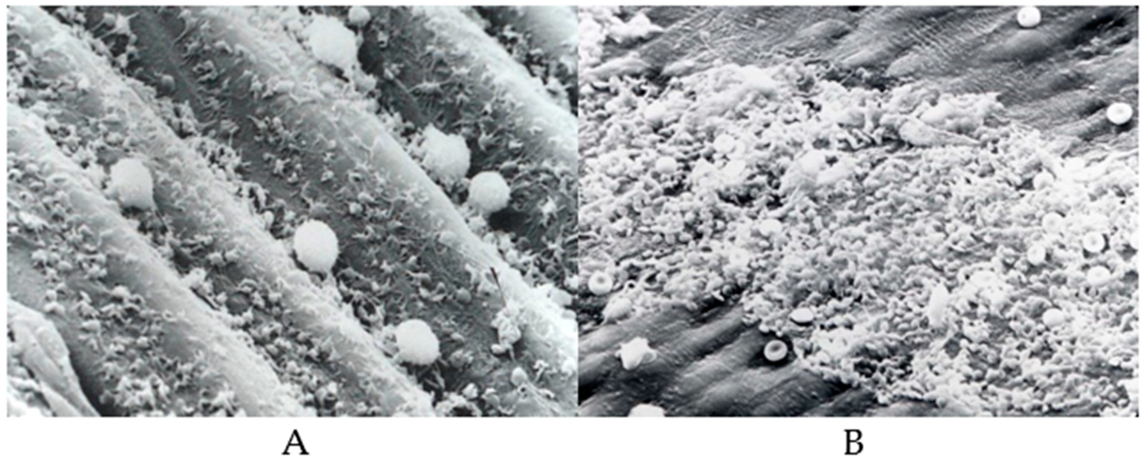 Biomolecules 14 00948 g003 Biomolecules 14 00948 g003